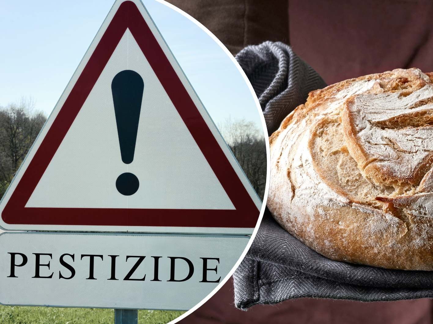 Viele beliebte Getreideprodukte in Österreich enthalten laut Studie Rückstände von Pestiziden – darunter auch bedenkliche PFAS-Wirkstoffe.
