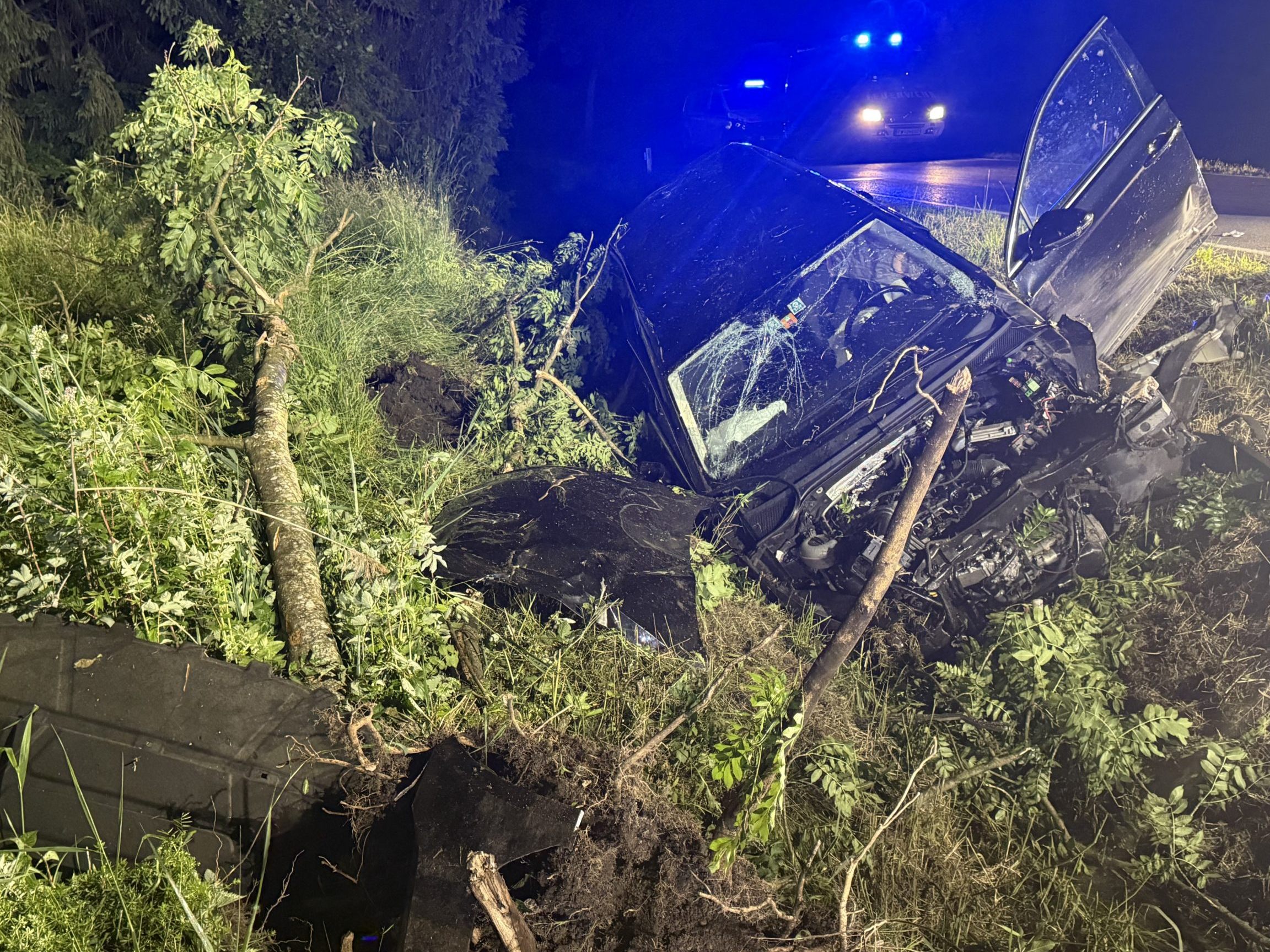 Ein Baum wurde durch die Wucht des Aufpralls des Wagens sogar entwurzelt. Ein Baum wurde durch die Wucht des Aufpralls des Wagens sogar entwurzelt.
