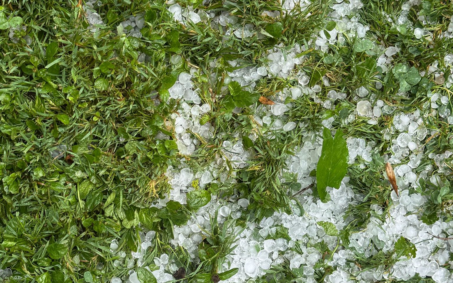Auch Hagel verwüstete ihren Garten.