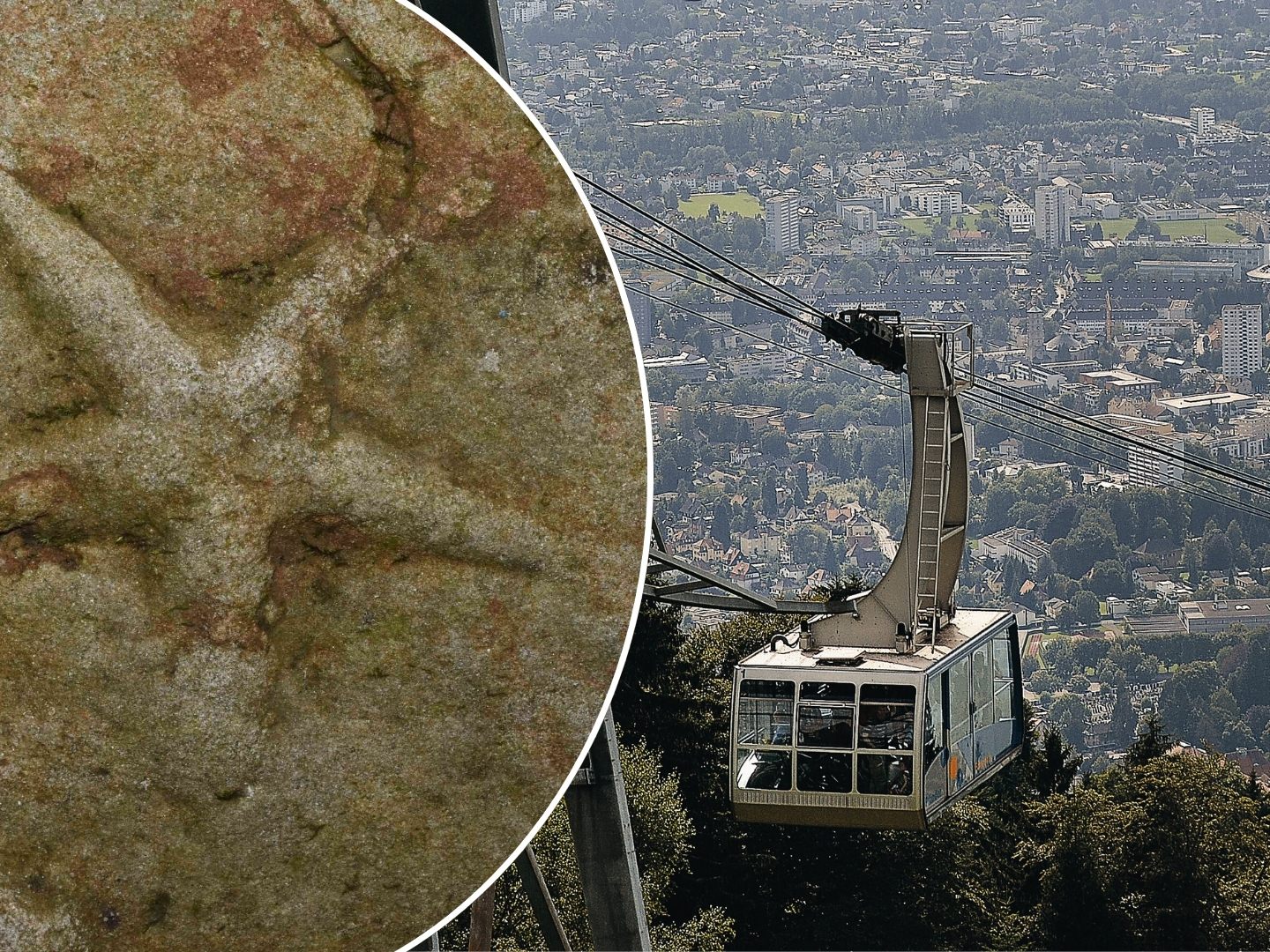 Neuzugang in der Fossiliensammlung der inatura, gefunden wurde der Seestern am Pfänder. Neuzugang in der Fossiliensammlung der inatura, gefunden wurde der Seestern am Pfänder.