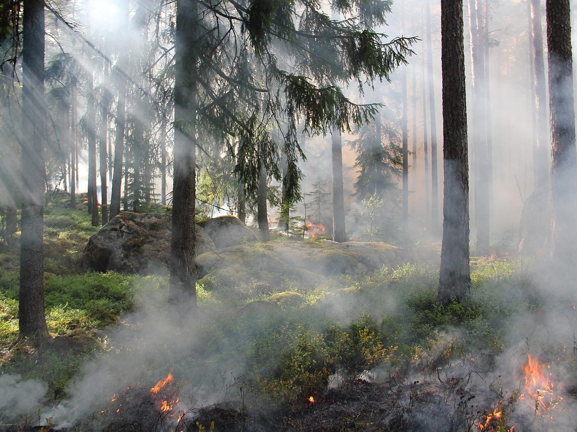Fordernde Einsätze bei Waldbränden im südlichen Niederösterreich. Fordernde Einsätze bei Waldbränden im südlichen Niederösterreich.