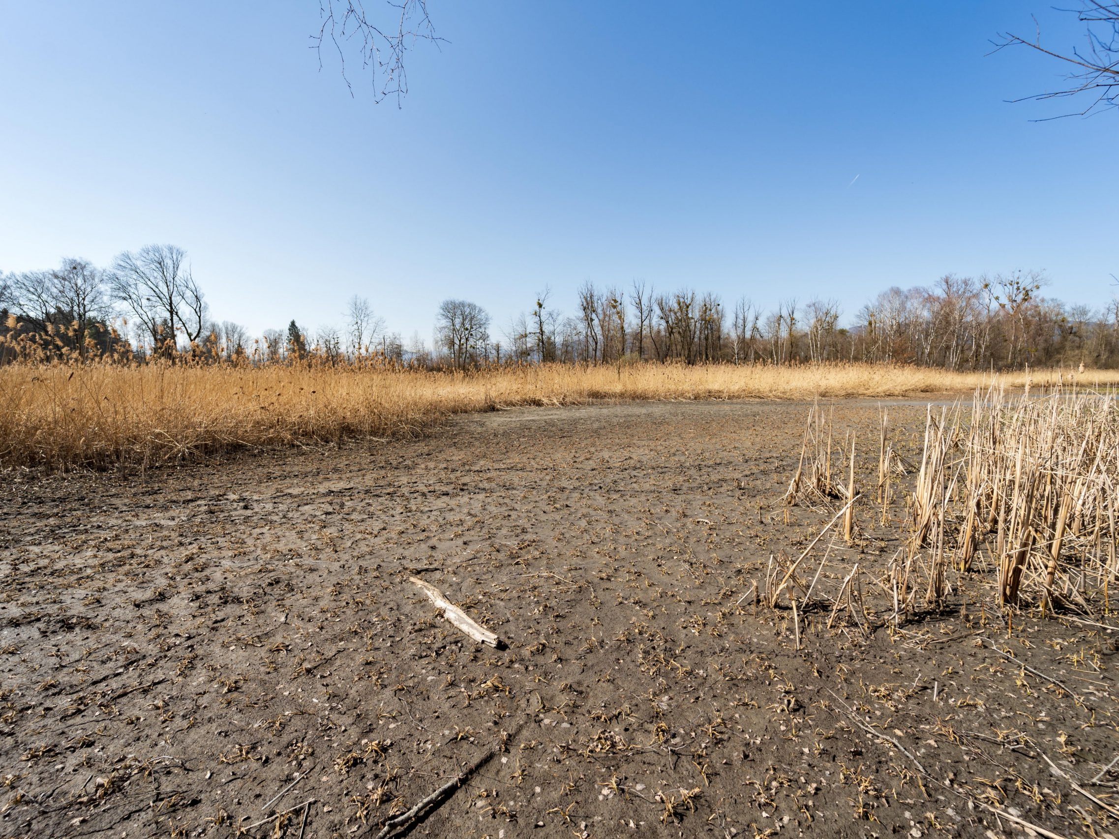 Vorarlbergs Flüsse führen immer weniger Wasser. Vorarlbergs Flüsse führen immer weniger Wasser.