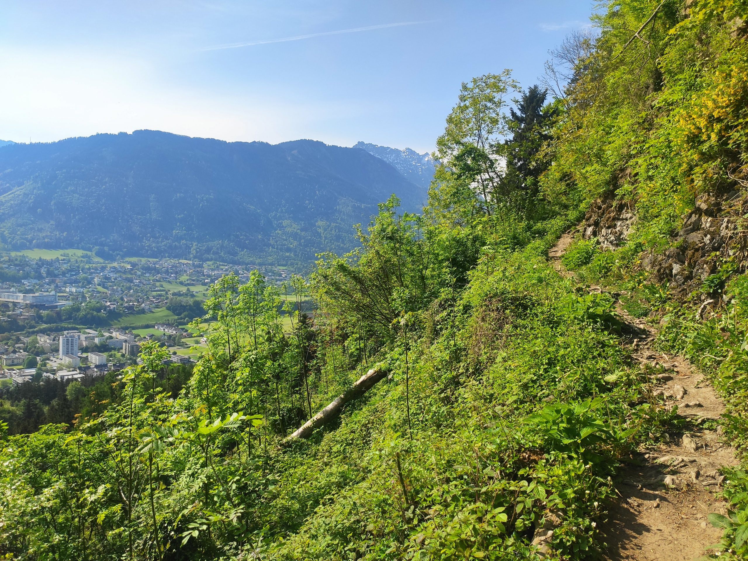 Felsbandweg