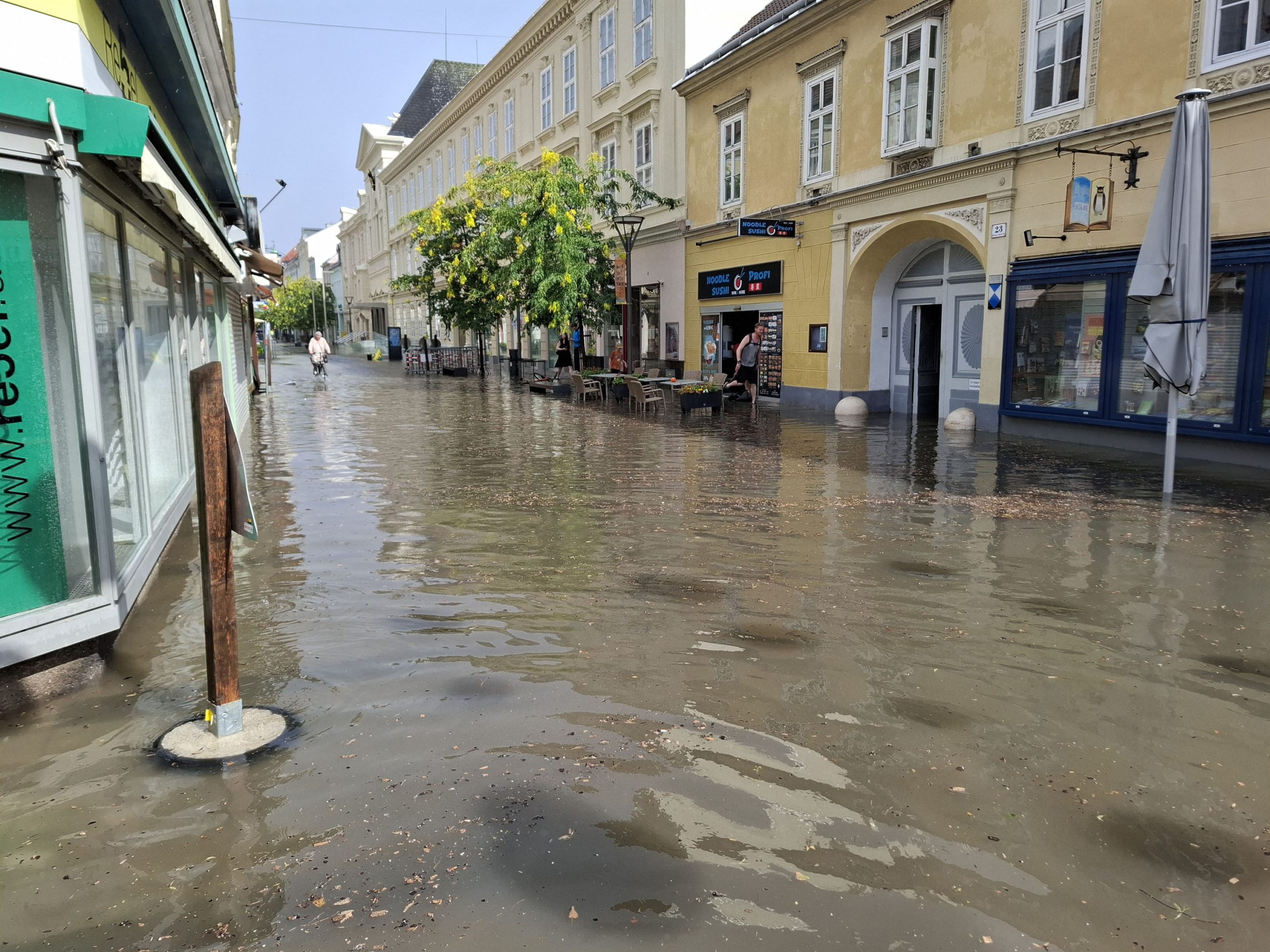 Einer Gewitterfront mit Sturmböen traf Wiener Neustadt.