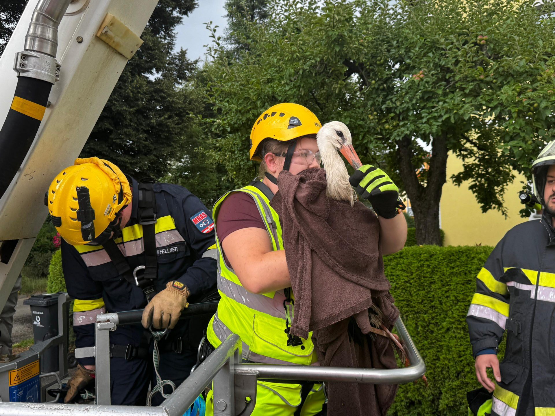 Die Feuerwehr holte den Storch vom Baum. Die Feuerwehr holte den Storch vom Baum.