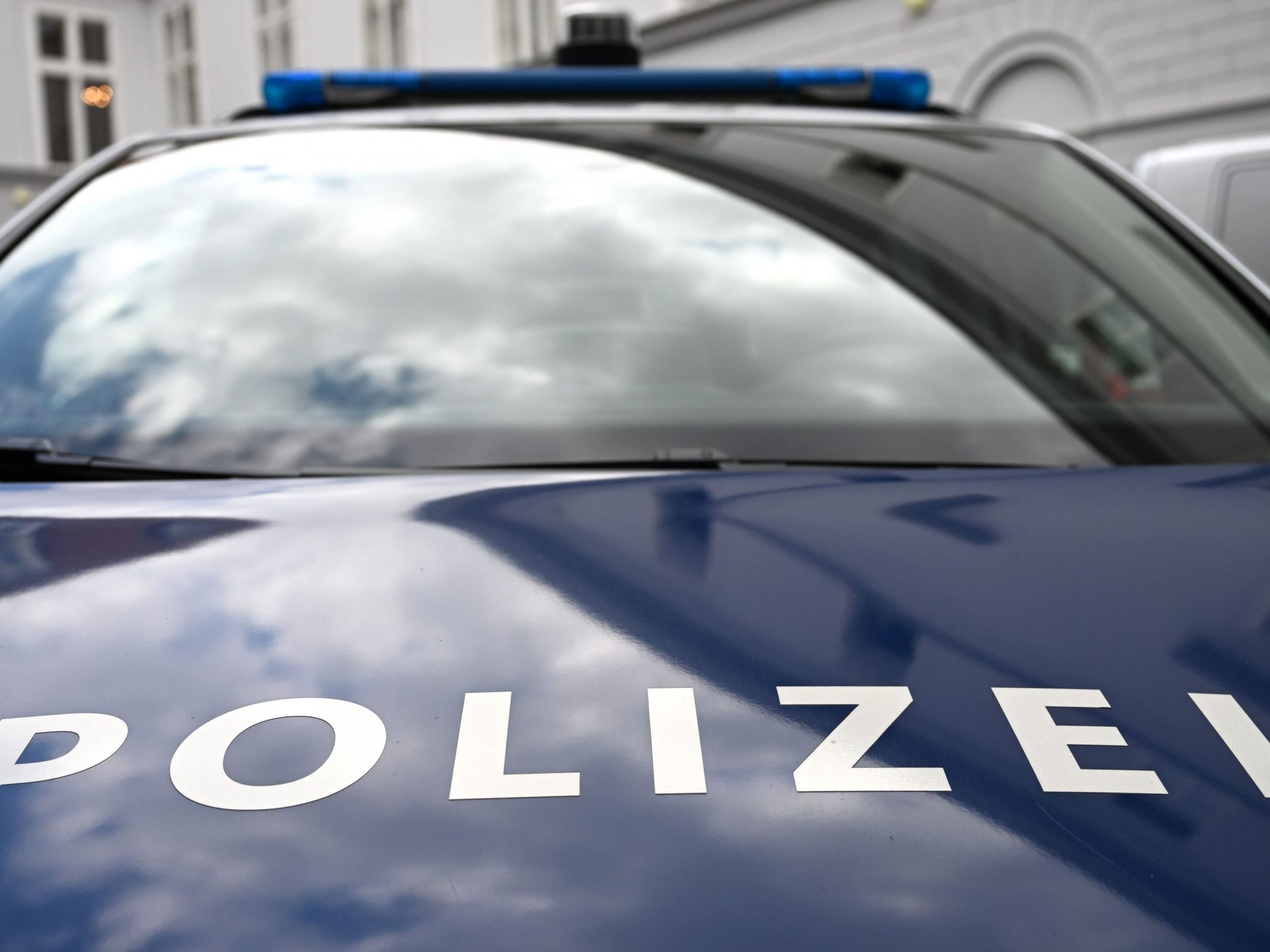 Zwei Pferde wurden getötet.