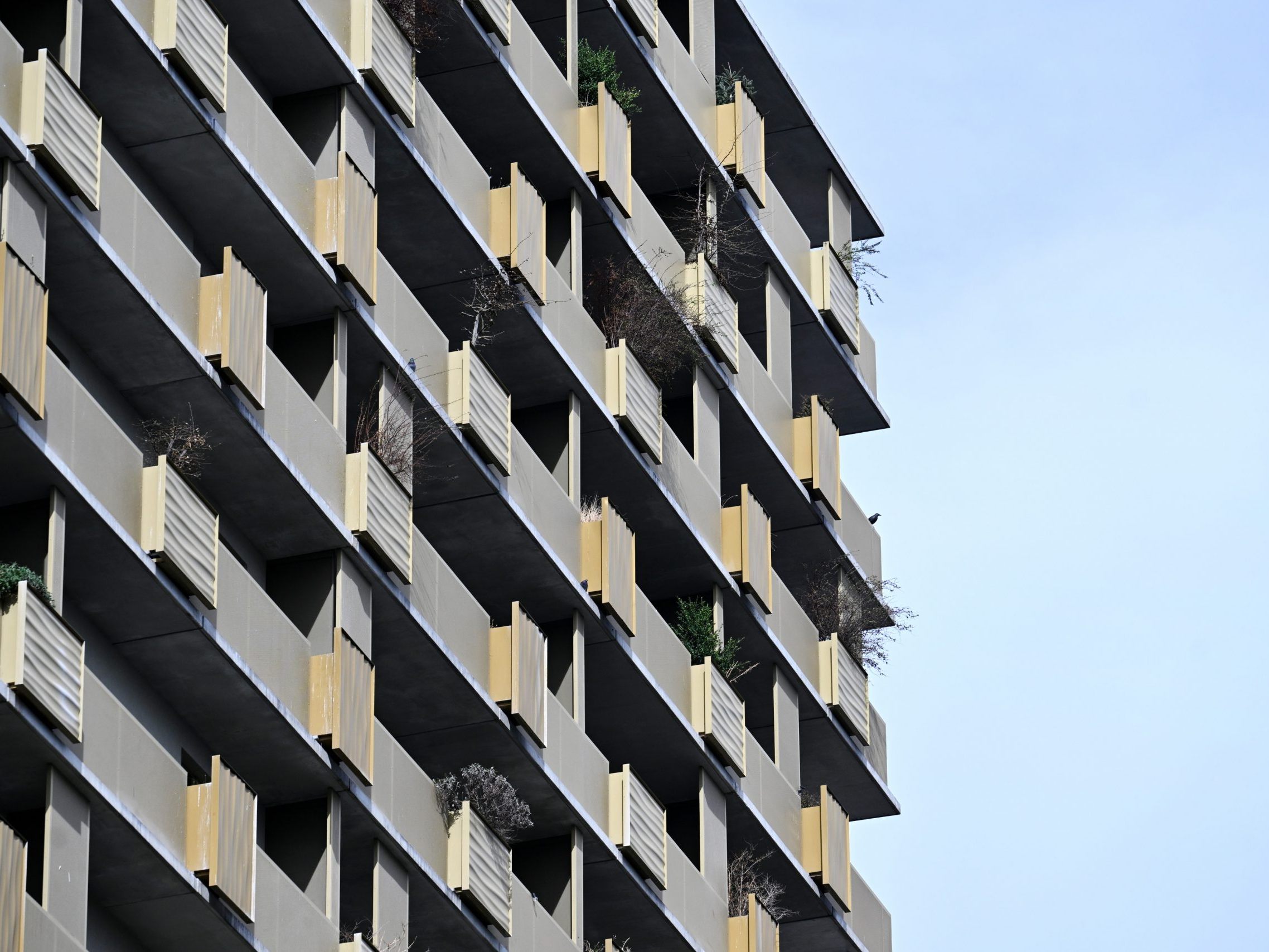 Die Hausverwaltung kümmert sich um die Verwaltung von Immobilien.