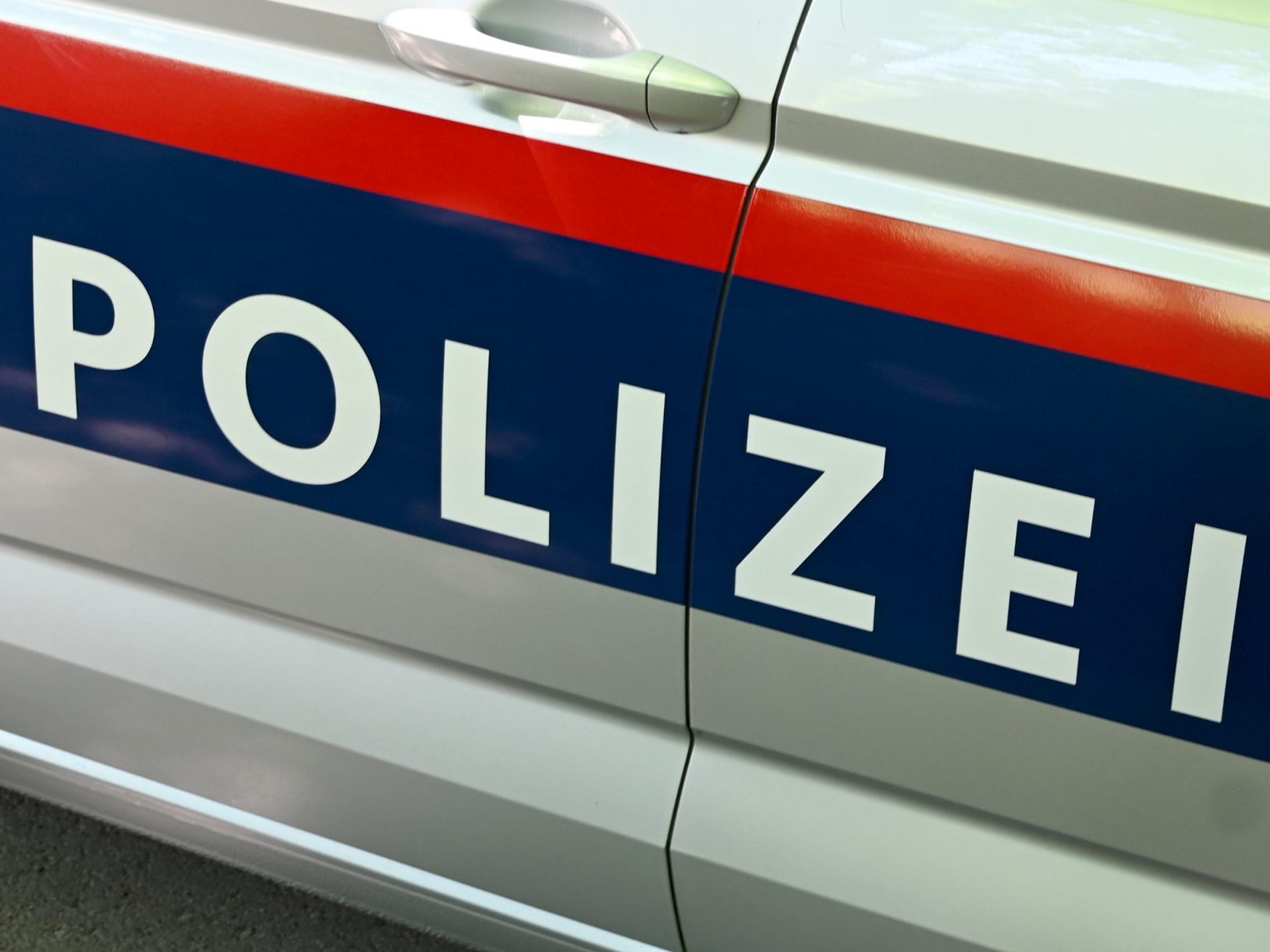 Gewerbsmäßige Taschendiebe wurden in Wien festgenommen.