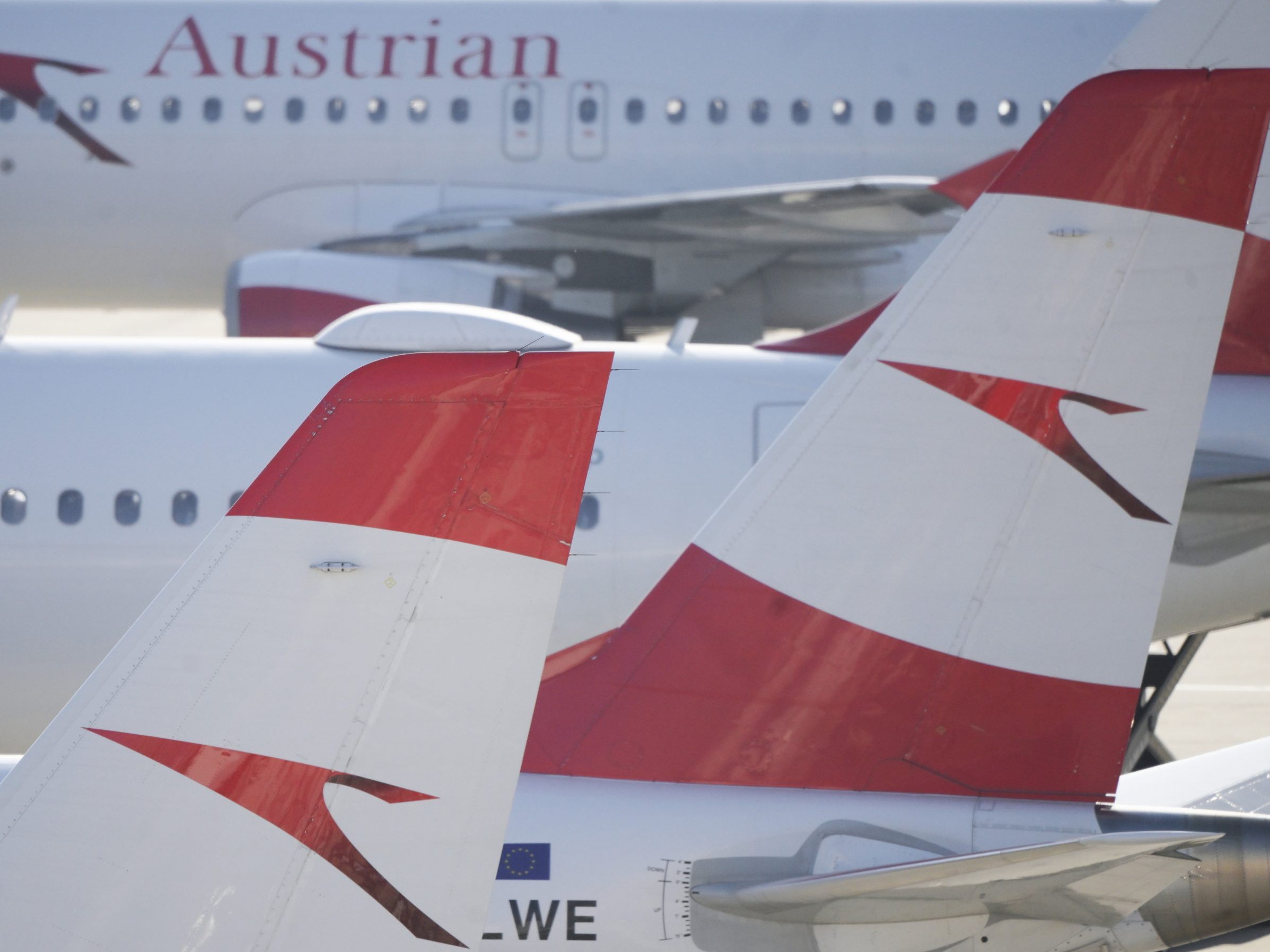 Auch ein AUA-Flug wurde wegen dem Brand auf Sardinien umgeleitet. Auch ein AUA-Flug wurde wegen dem Brand auf Sardinien umgeleitet.