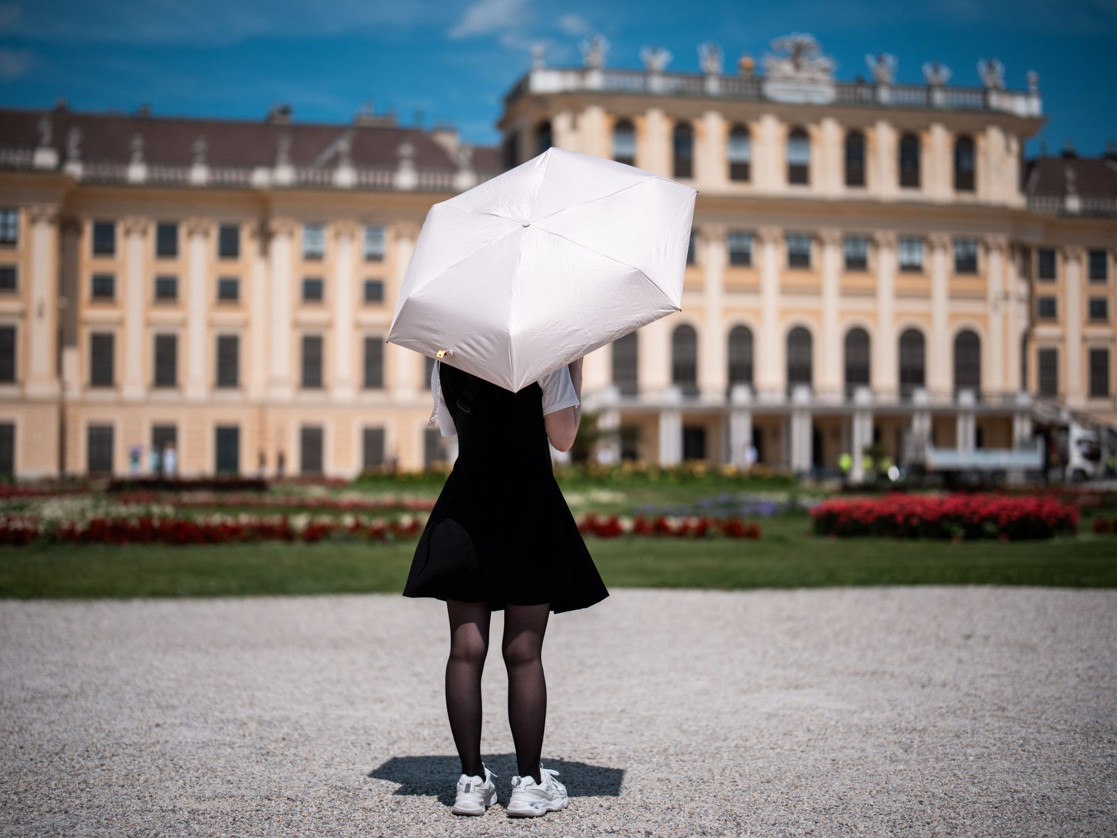 Über zu niedrige Temperaturen kann man sich in Wien momentan nicht beklagen.