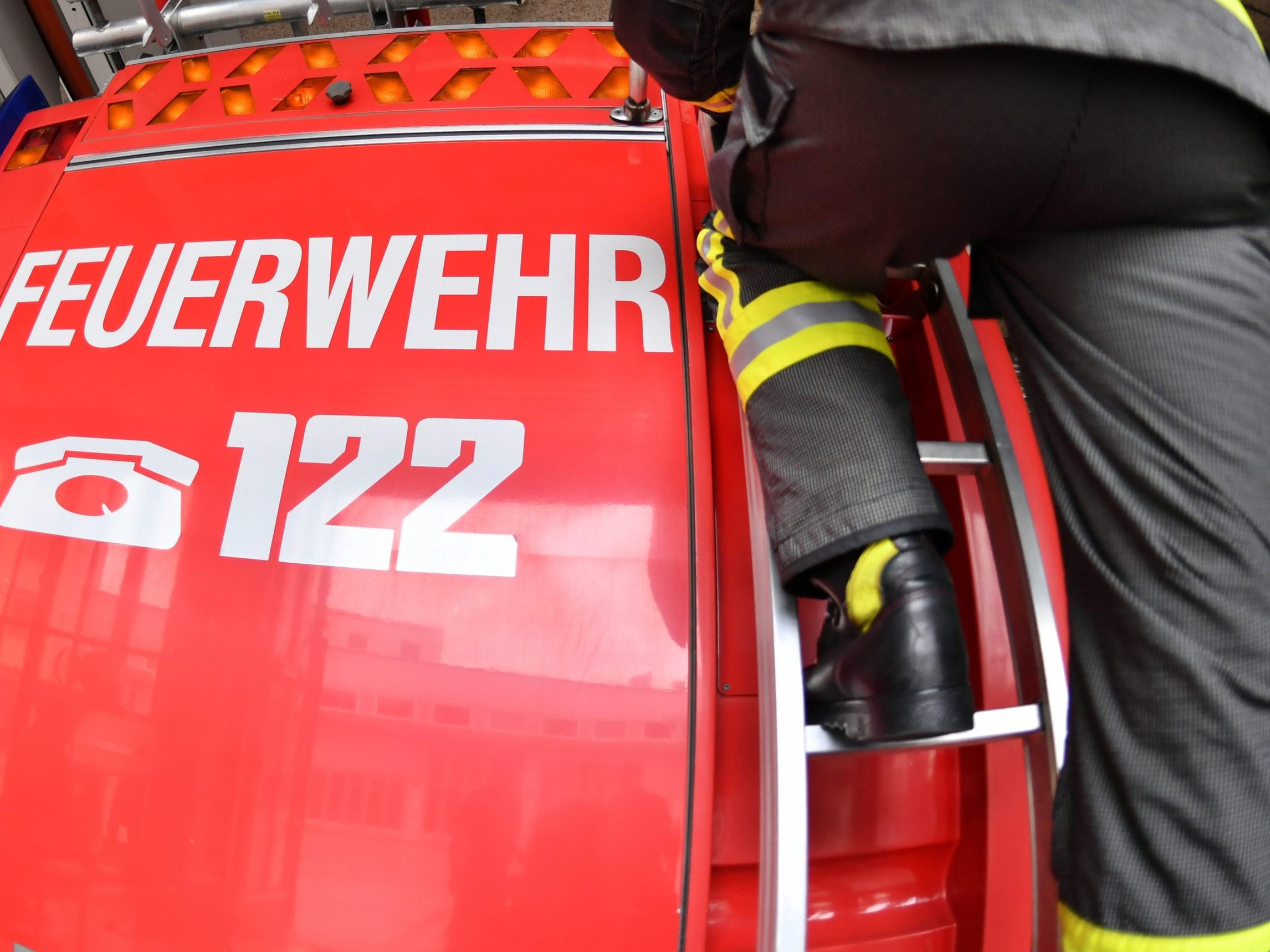 20 Hühner und Küken sind gestorben.