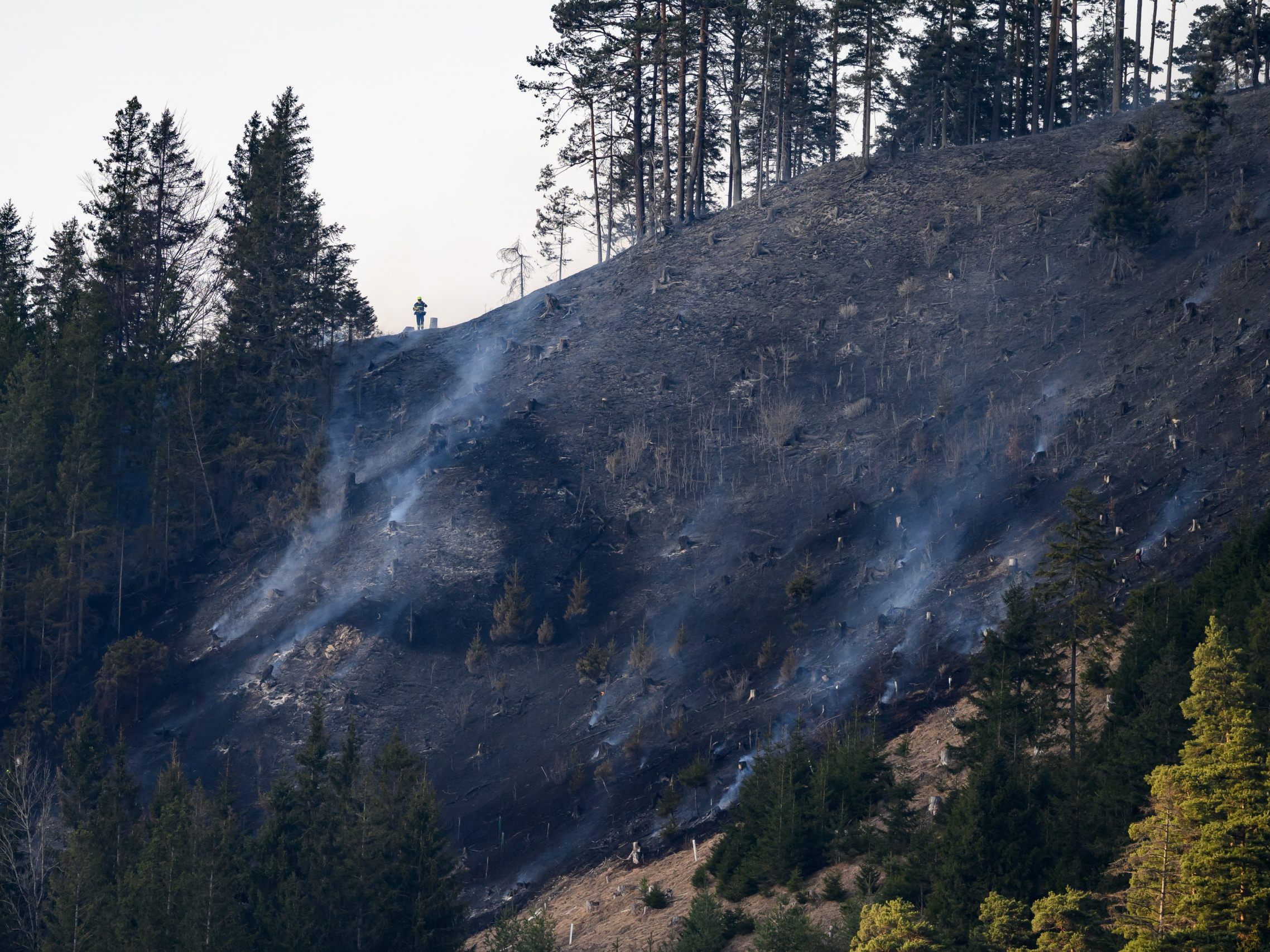 Österreich nicht ohne Waldbrandgefahr.