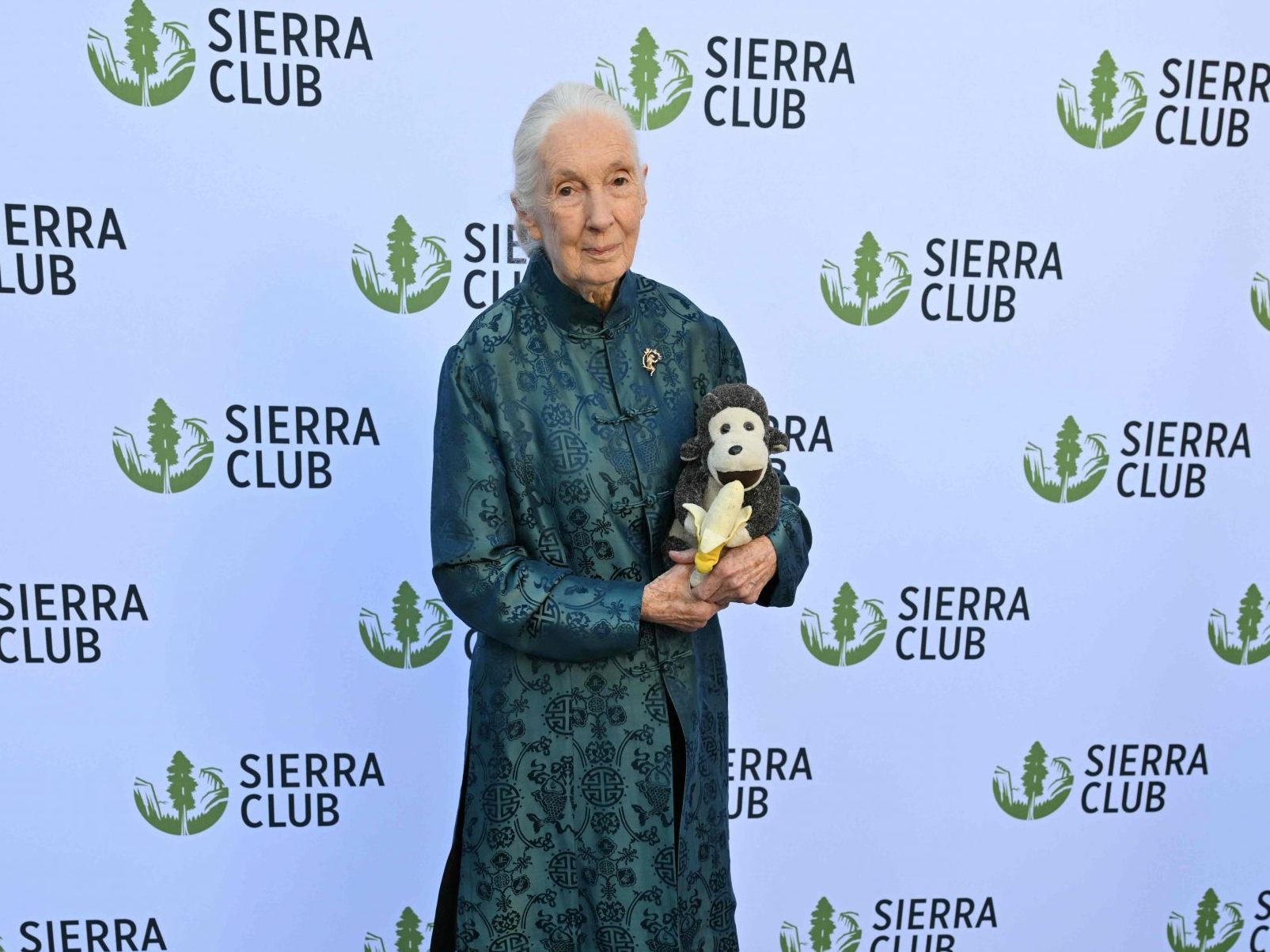 Jane Goodall veränderte mit ihrer Forschung das Verständnis von Schimpansen und beeinflusste die Primatologie nachhaltig. Jane Goodall veränderte mit ihrer Forschung das Verständnis von Schimpansen und beeinflusste die Primatologie nachhaltig.