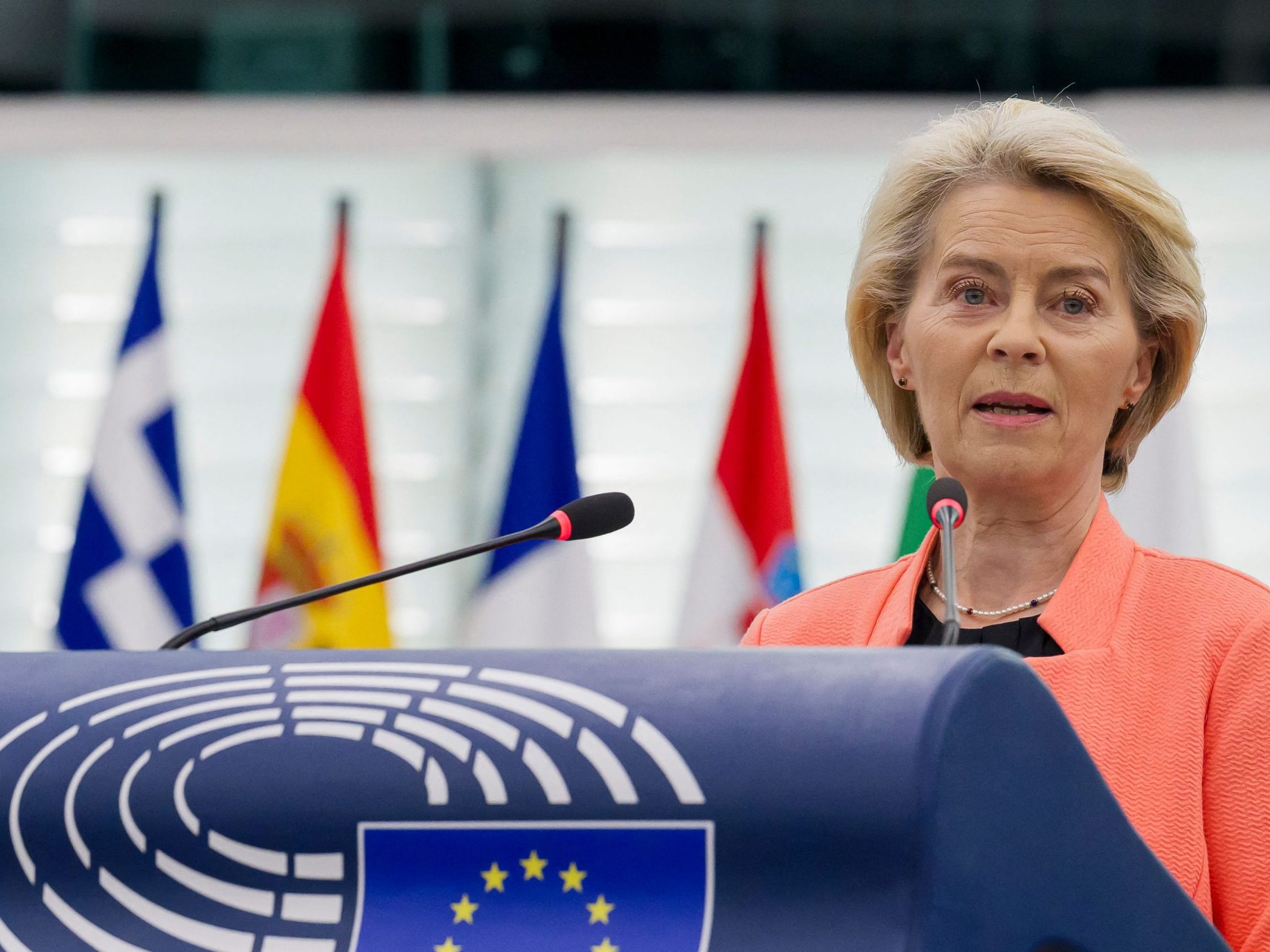 Die FPÖ will den Misstrauensantrag gegen die EU-Kommission unterstützen.