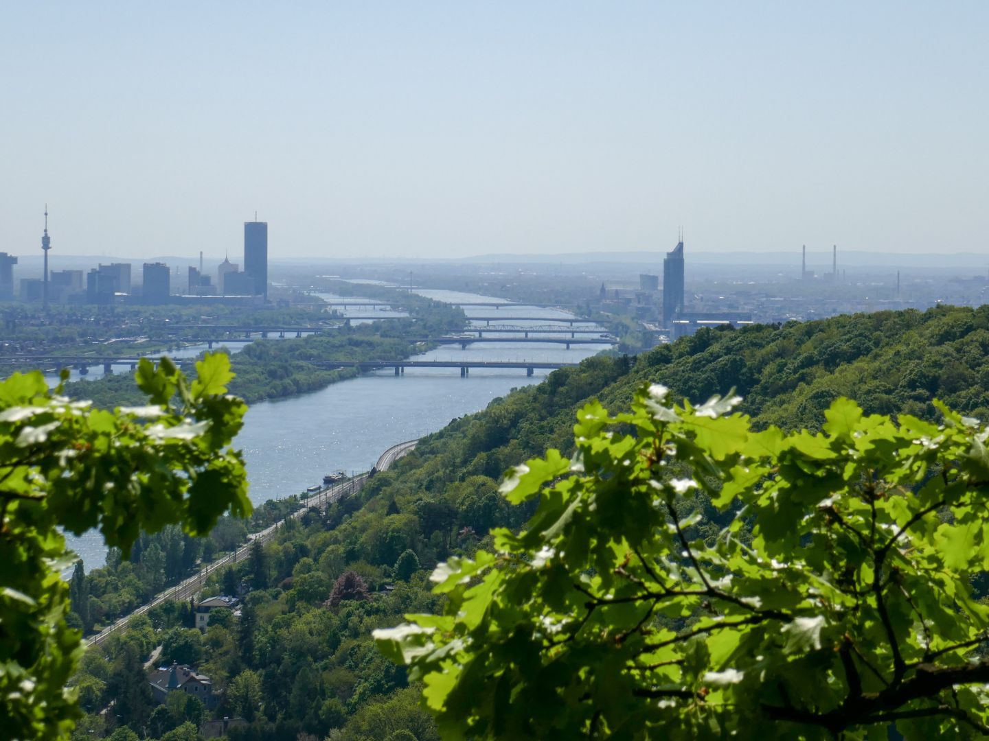 Am teuersten wurde 2024 in Wien-Döbling eine Wohnung im Stadtteil Nußdorf verkauft.