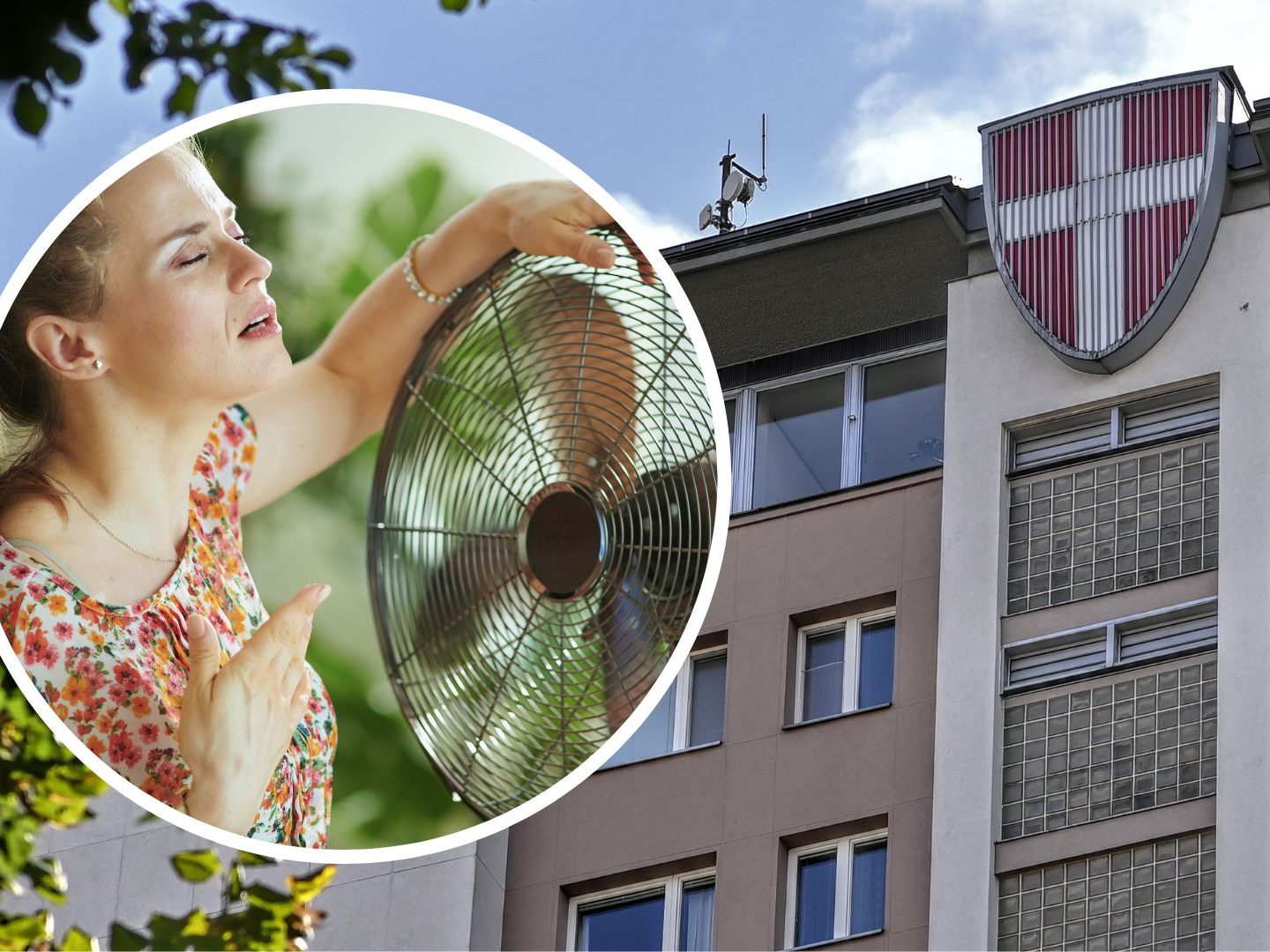 Dass Klimaanlagen nur für Mieter mit Pflegestufe 6 genehmigt werden, ist für die Volksanwältin "nicht nachvollziehbar". Dass Klimaanlagen nur für Mieter mit Pflegestufe 6 genehmigt werden, ist für die Volksanwältin "nicht nachvollziehbar".