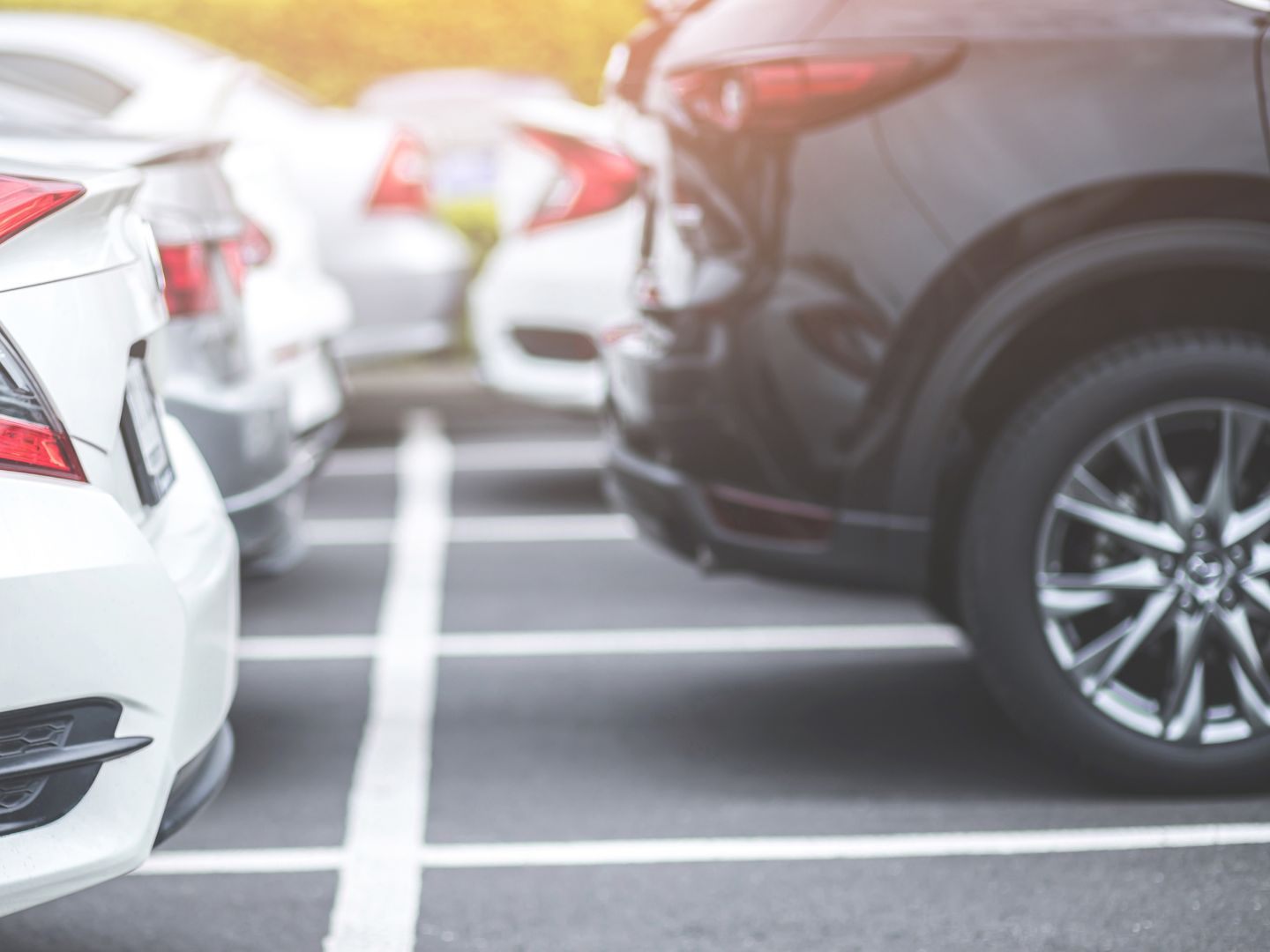 Vorarlberger und Wiener fahren die stärksten Autos. Vorarlberger und Wiener fahren die stärksten Autos.