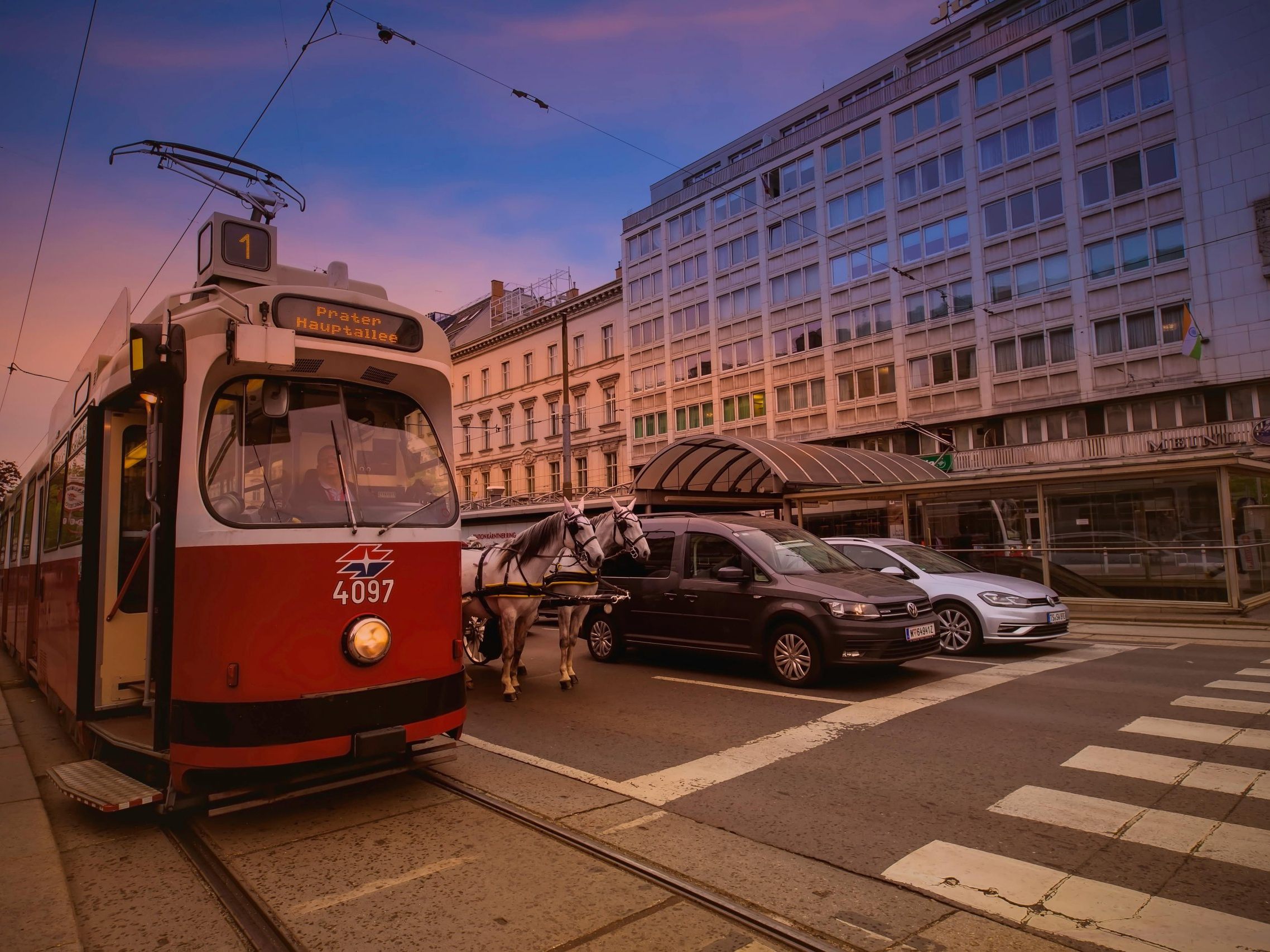 Für die Pferde ist der Straßenverkehr eine immense Belastung.