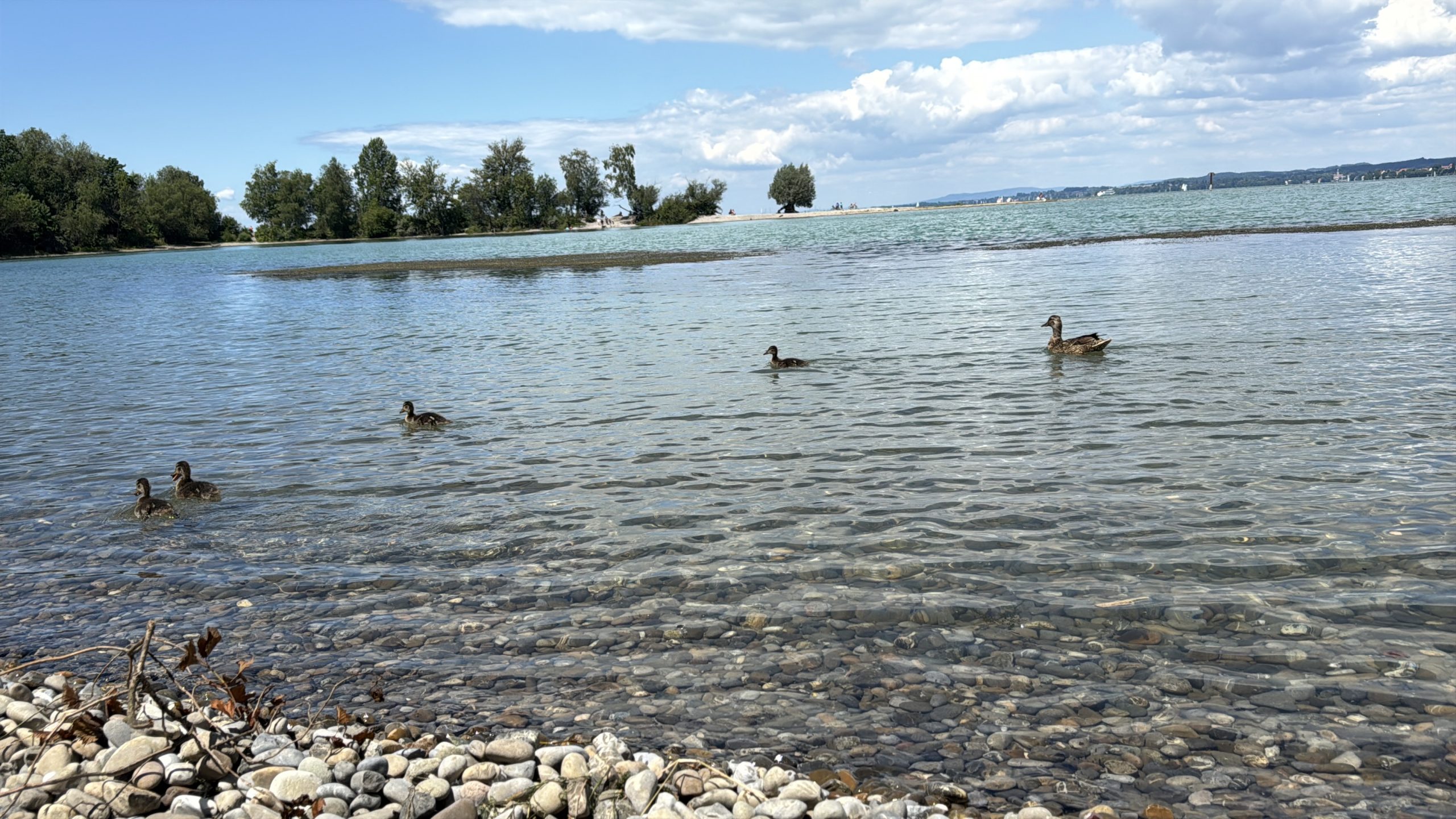 Hier treffen Menschen auf die Tierwelt.