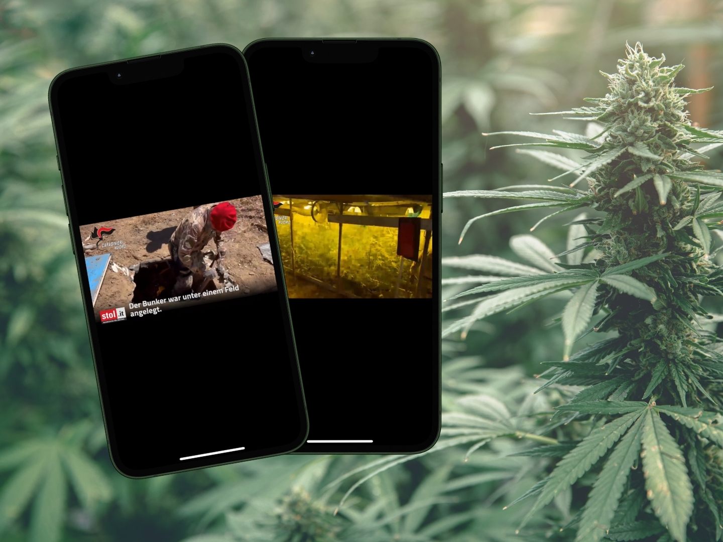 In einem Bunker auf Sardinien entdeckten die Carabinieri eine professionell betriebene Marihuana-Plantage mit Labor.
