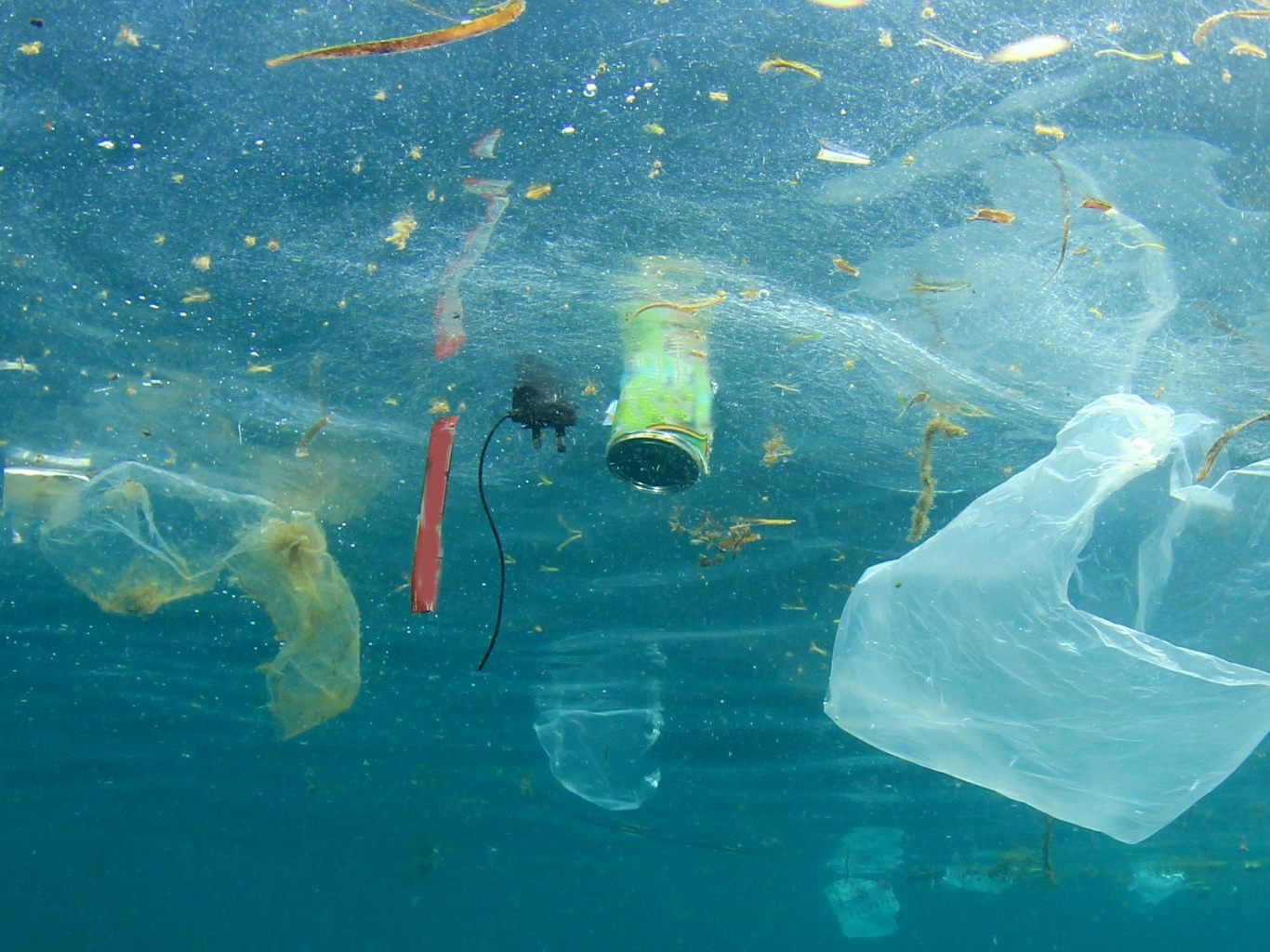 Plastik aus Japan könnte Meere entlasten Plastik aus Japan könnte Meere entlasten