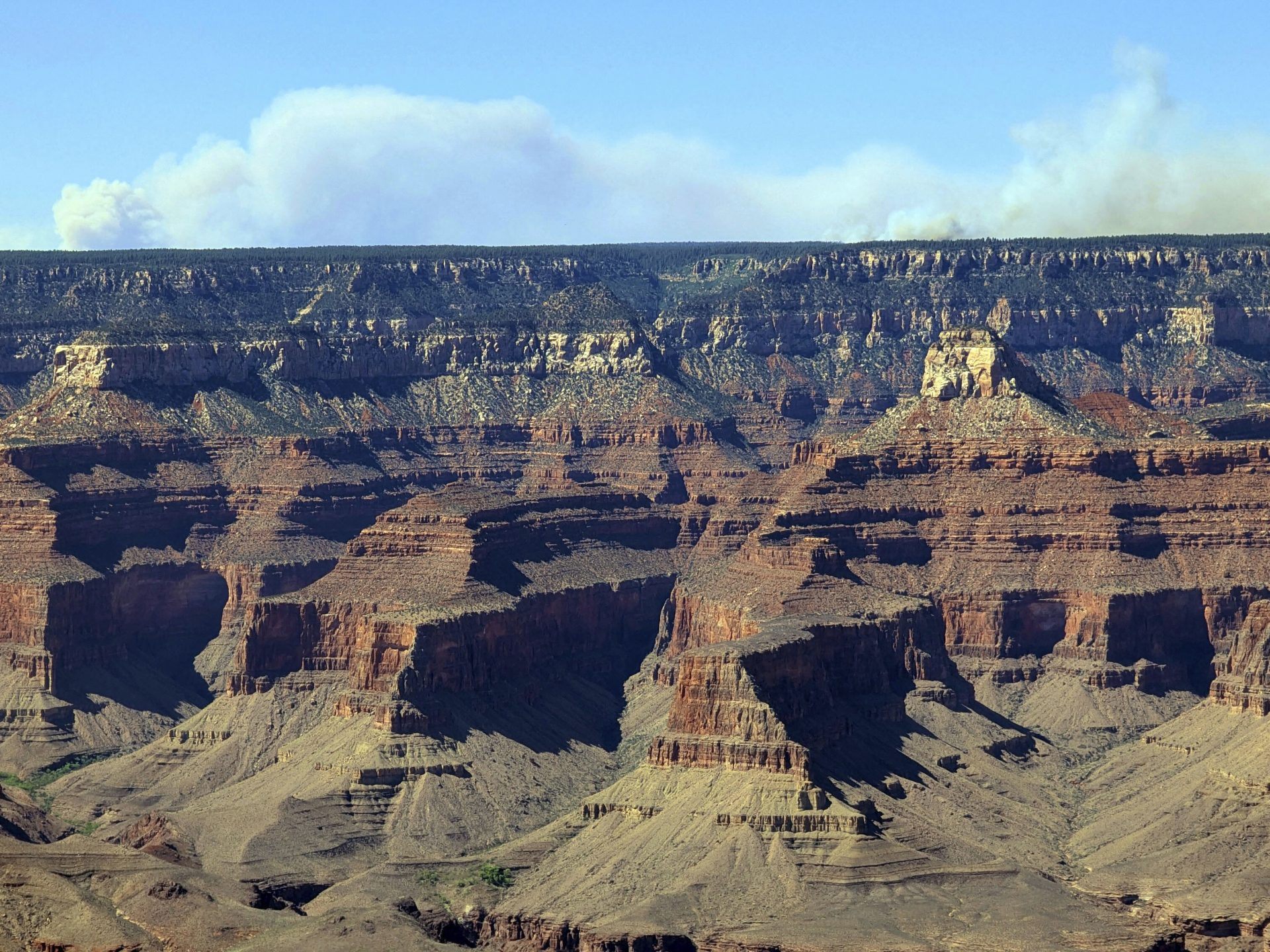 Waldbrände bedrohen Grand Canyon und Black Canyon. Evakuierungen und Schließungen in US-Nationalparks wegen Feuergefahr.