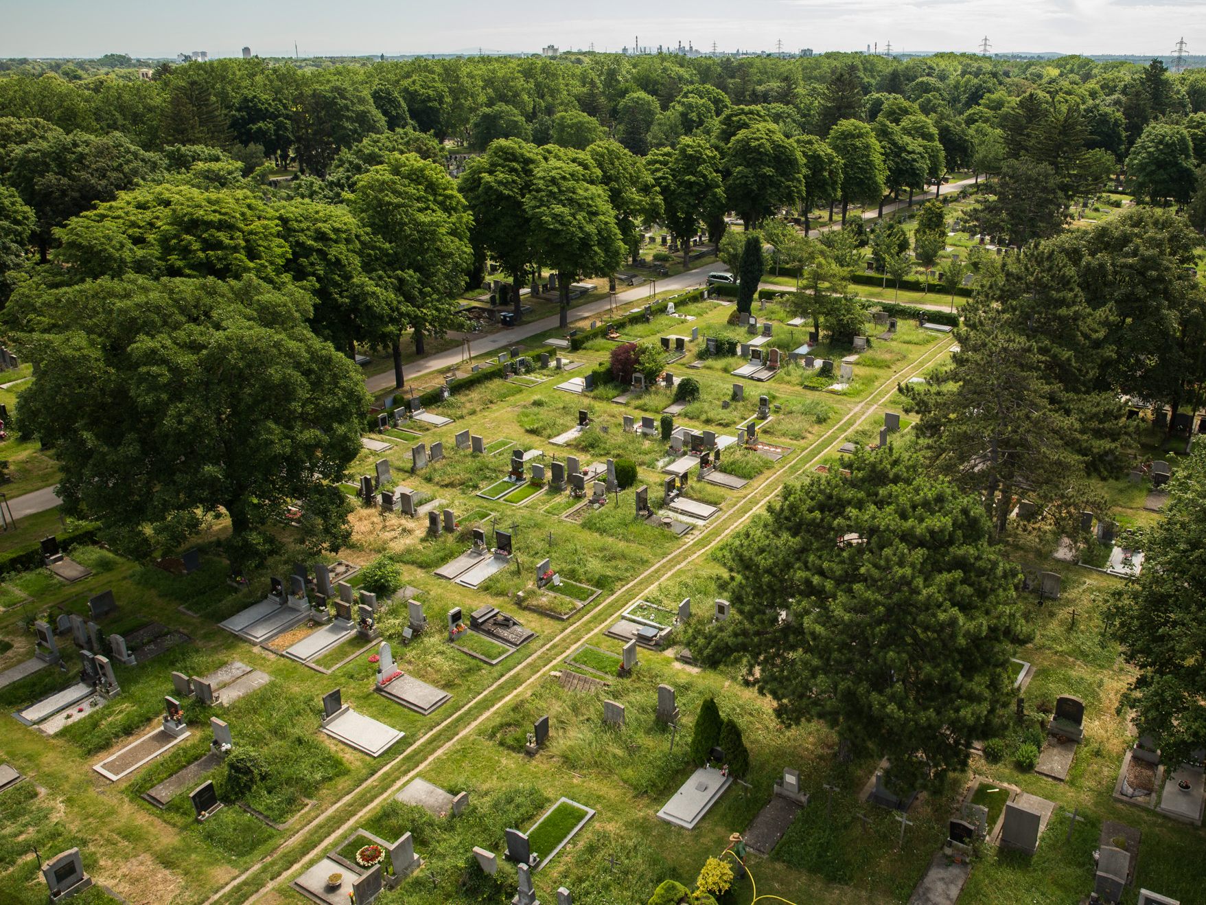 Der Wiener Zentralfriedhof bietet Platz zur Abkühlung.