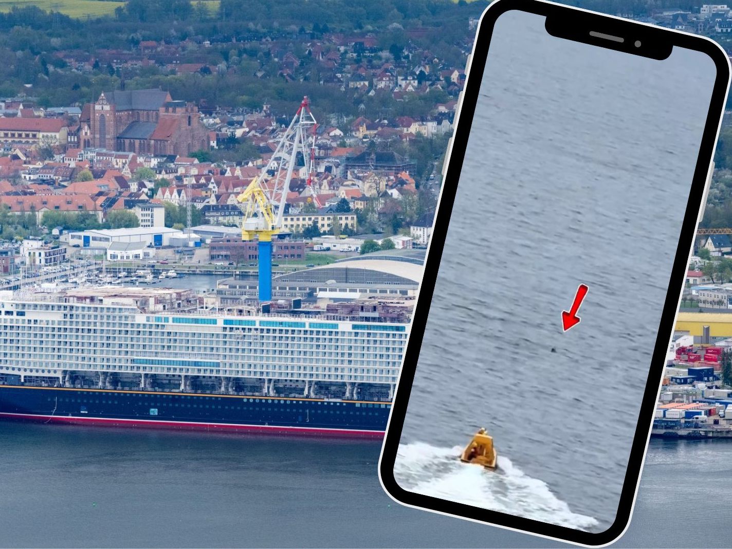 Das Mädchen fiel von der "Diesney Dream" (im Bild das Schwesterschiff "Disney Adventure") ins Meer. Das Mädchen fiel von der "Diesney Dream" (im Bild das Schwesterschiff "Disney Adventure") ins Meer.