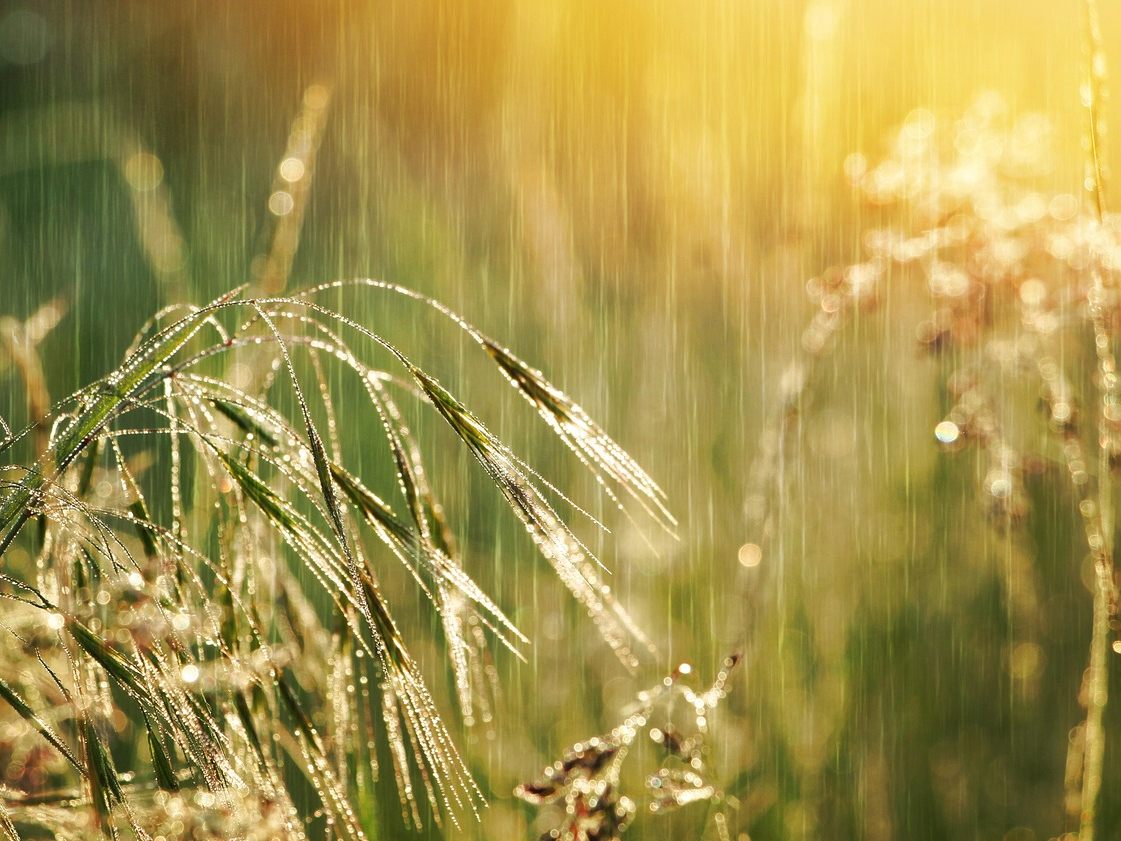Das Wetter am Wochenende ist weiterhin unbeständig.