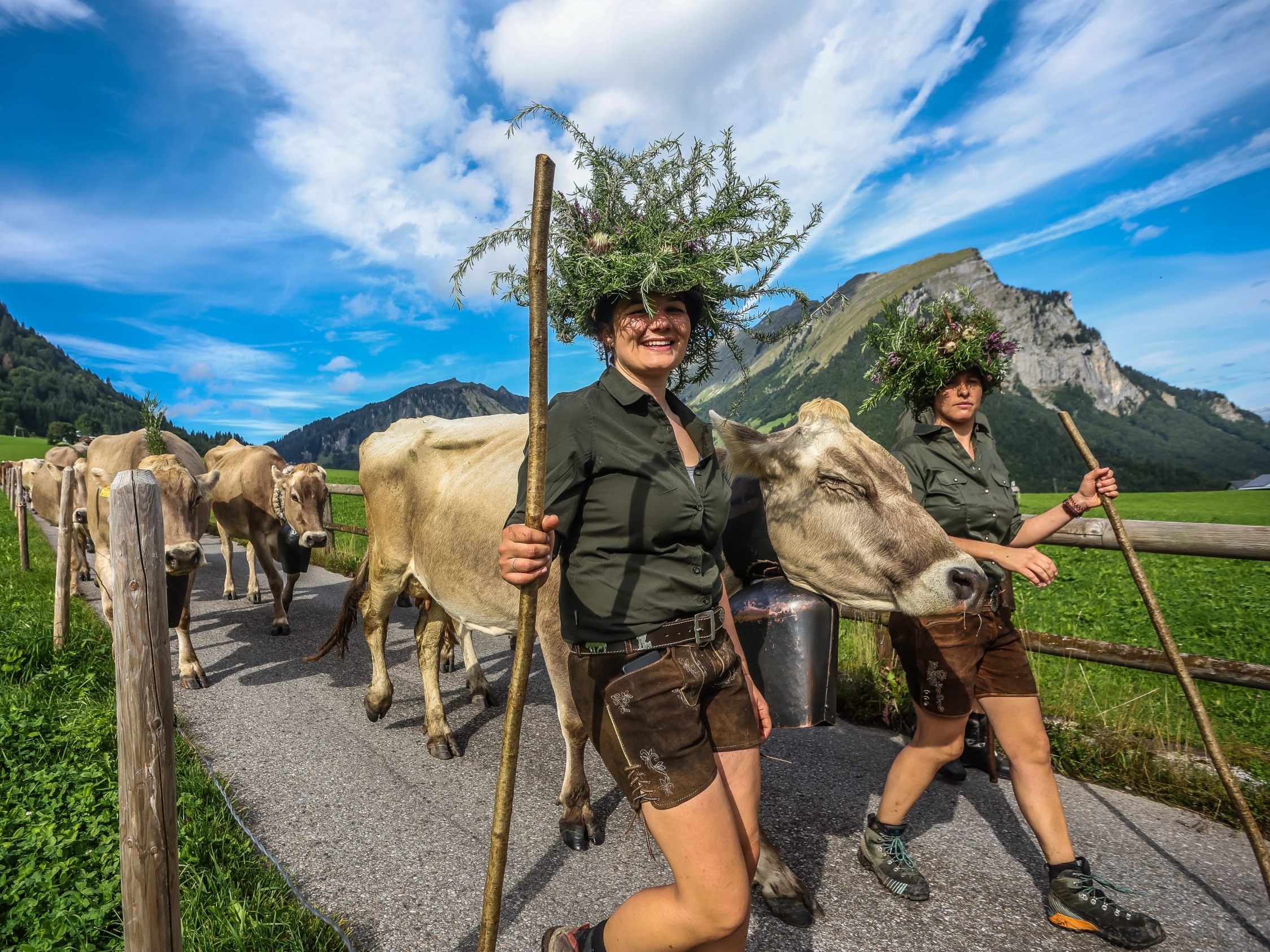 Alle Alpabtriebe in Vorarlberg 2025.