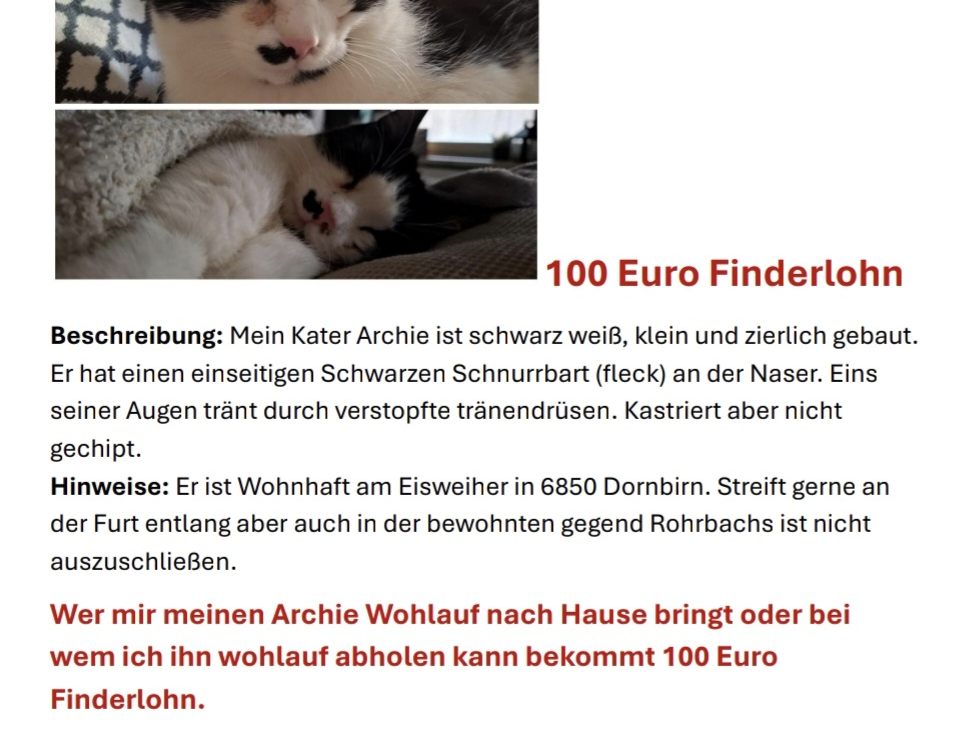 Das ist mein kleiner archi