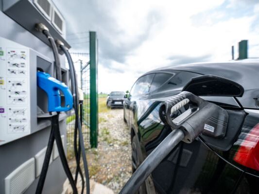 E-Autos waren im Juli gefragt E-Autos waren im Juli gefragt