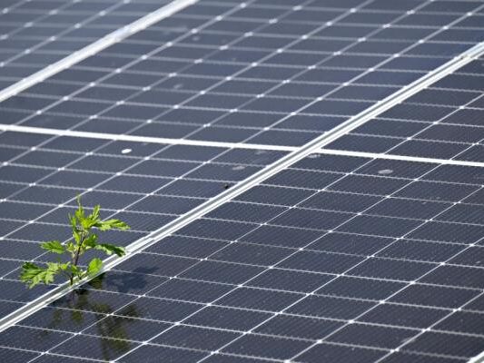 Wirtschaftsministerium stockte PV-Fördertopf kräftig auf