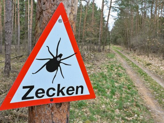 Viele Haustierhalter versuchen Vierbeiner vor Parasiten zu schützen