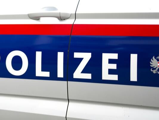 Der 20-Jährige lieferte sich eine Verfolgungsjagd mit der Polizei Der 20-Jährige lieferte sich eine Verfolgungsjagd mit der Polizei