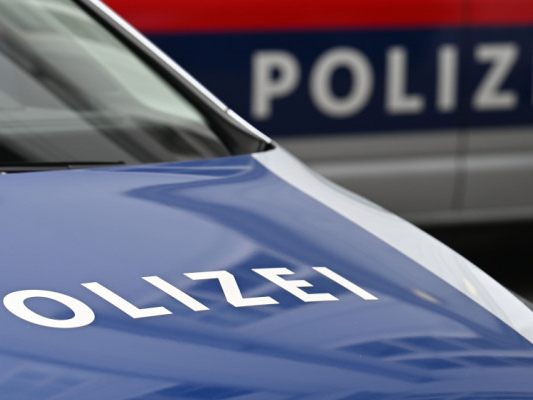 Die Tiroler Polizei nahm dutzende Tatverdächtige fest Die Tiroler Polizei nahm dutzende Tatverdächtige fest