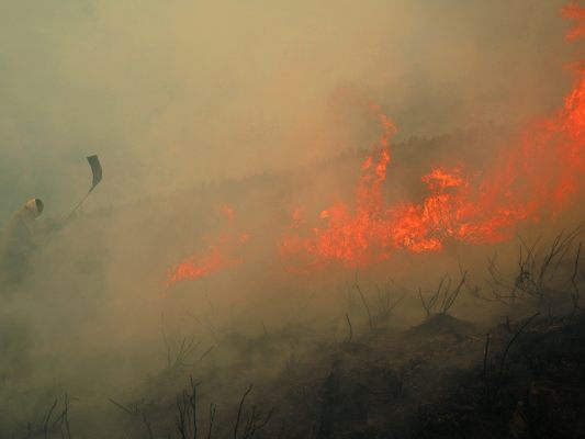 Über 10.000 Quadratkilometer Fläche fielen den Flammen heuer zum Opfer