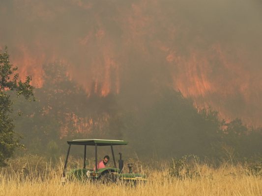 Das Schlimmste bei Waldbränden in Spanien scheint überstanden Das Schlimmste bei Waldbränden in Spanien scheint überstanden