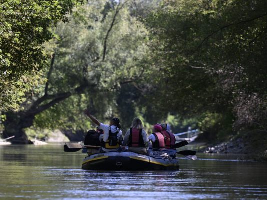 Die Donau und viele Arten erschließen sich "neue" Altarme wieder Die Donau und viele Arten erschließen sich "neue" Altarme wieder