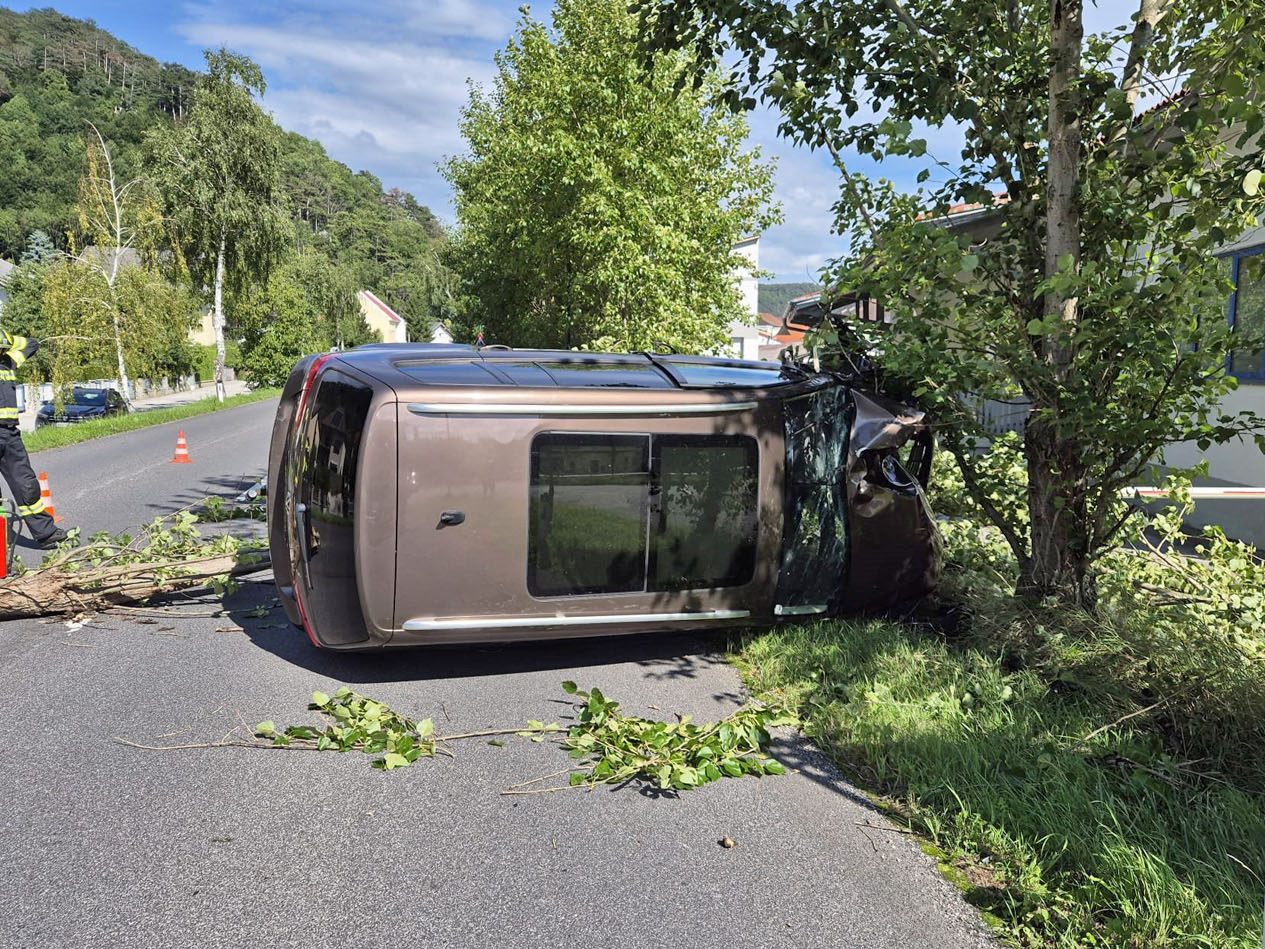 Eine Familie prallte mit ihrem Pkw-Van gegen einen Baum.