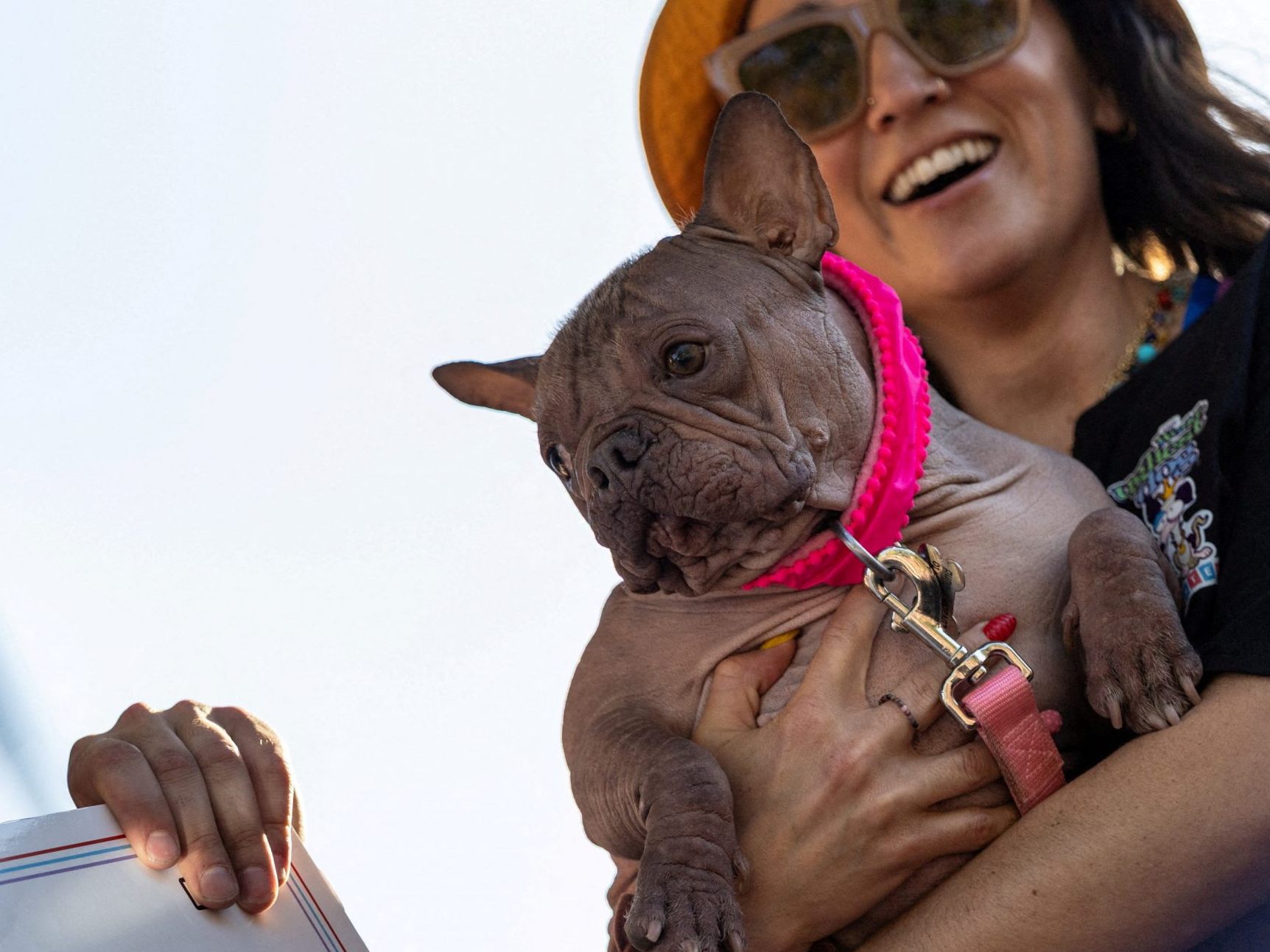 Petunia ist der hässlichste Hund der Welt. Petunia ist der hässlichste Hund der Welt.
