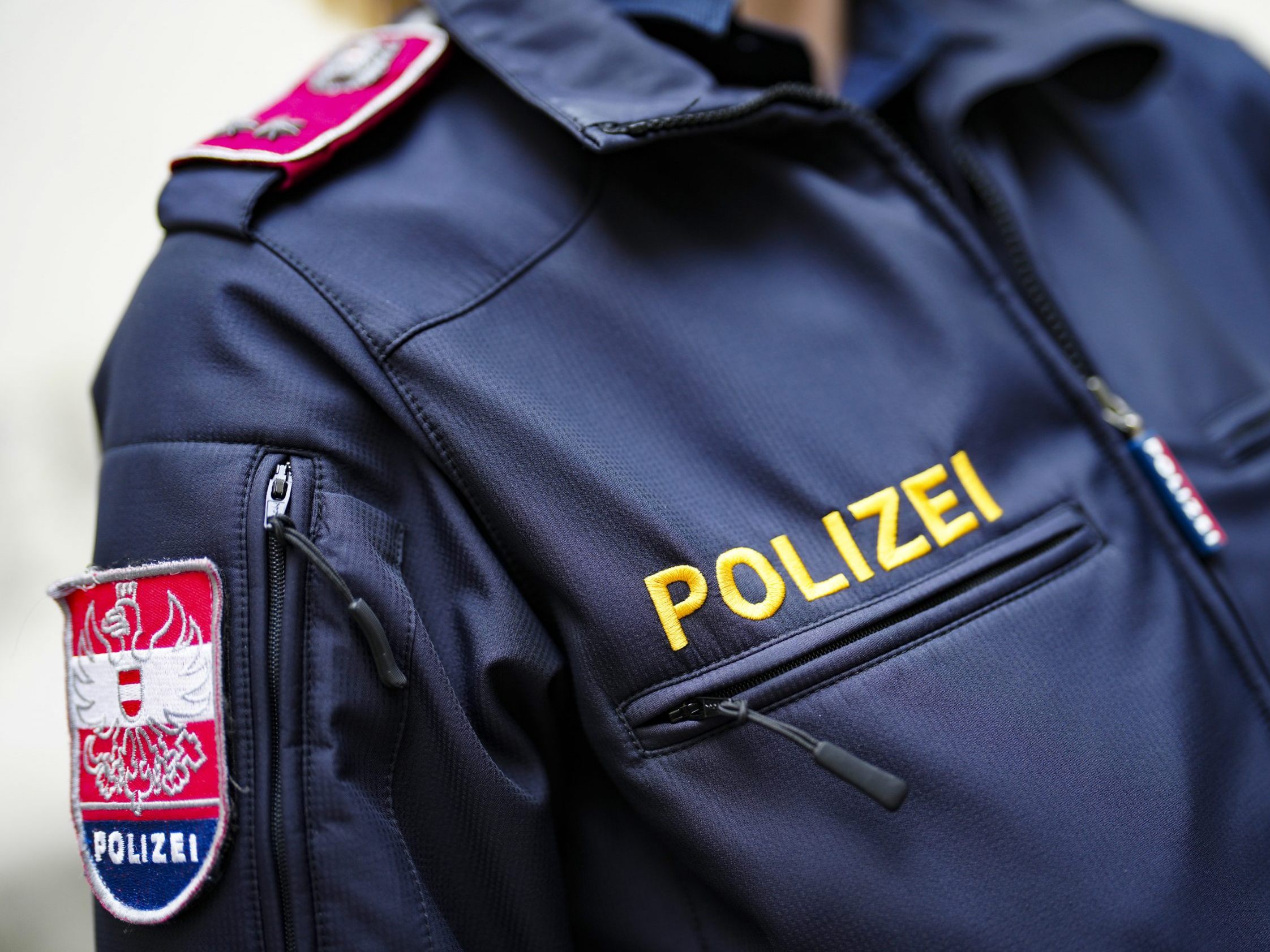 Die Wiener Polizei verhaftete mehrere Verdächtige.