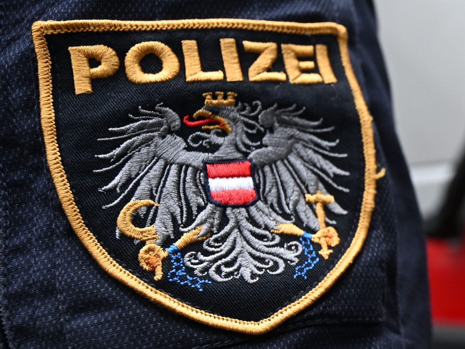 Schwerpunktaktion der Wiener Polizei. Schwerpunktaktion der Wiener Polizei.