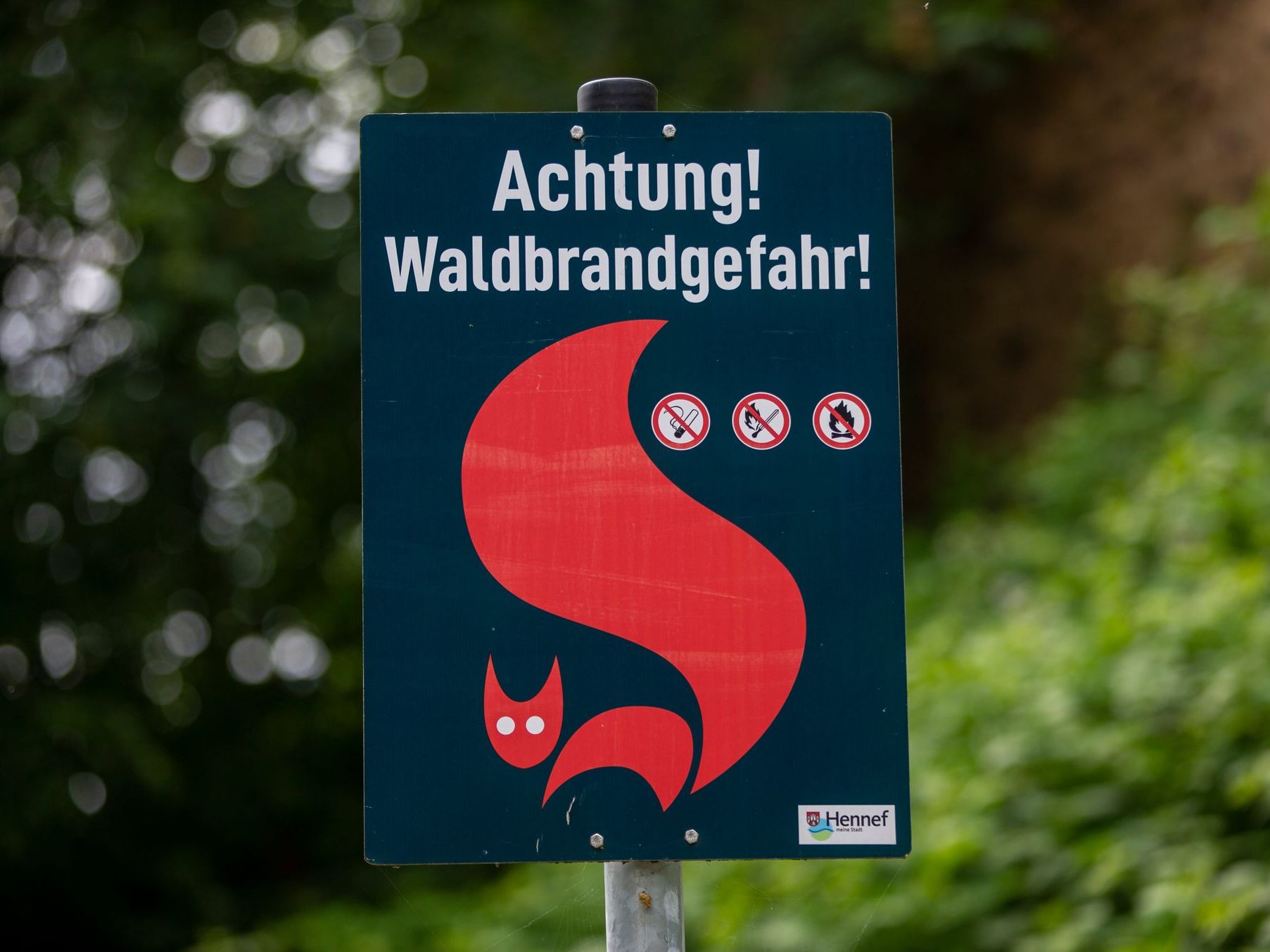 Das Landwirtschaftsministerium warnt vor regionaler Waldbrandgefahr. Das Landwirtschaftsministerium warnt vor regionaler Waldbrandgefahr.