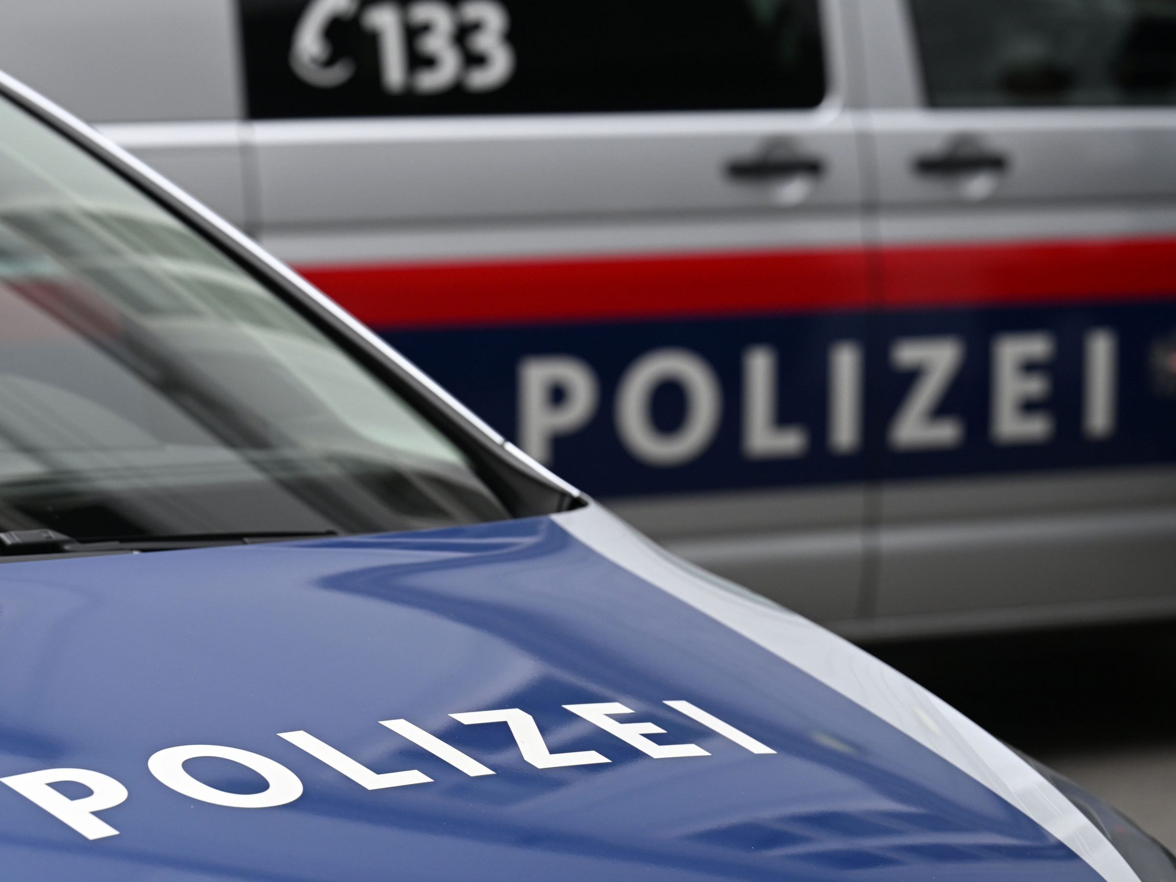 Die Wiener Polizei bittet um Hinweise. Die Wiener Polizei bittet um Hinweise.