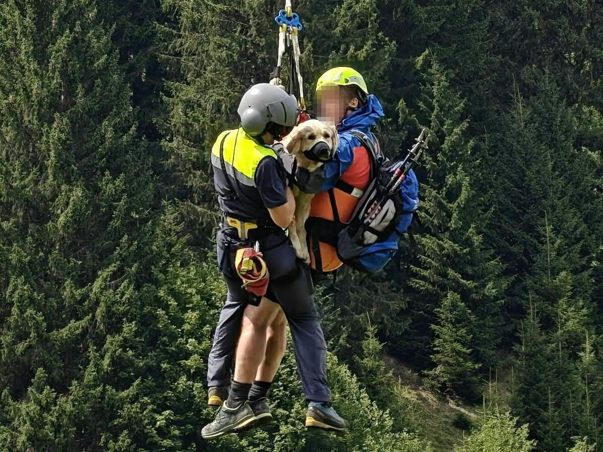 Die schwer verletzte Hündin und ihr Halter wurden per Hubschrauber geborgen. Die schwer verletzte Hündin und ihr Halter wurden per Hubschrauber geborgen.