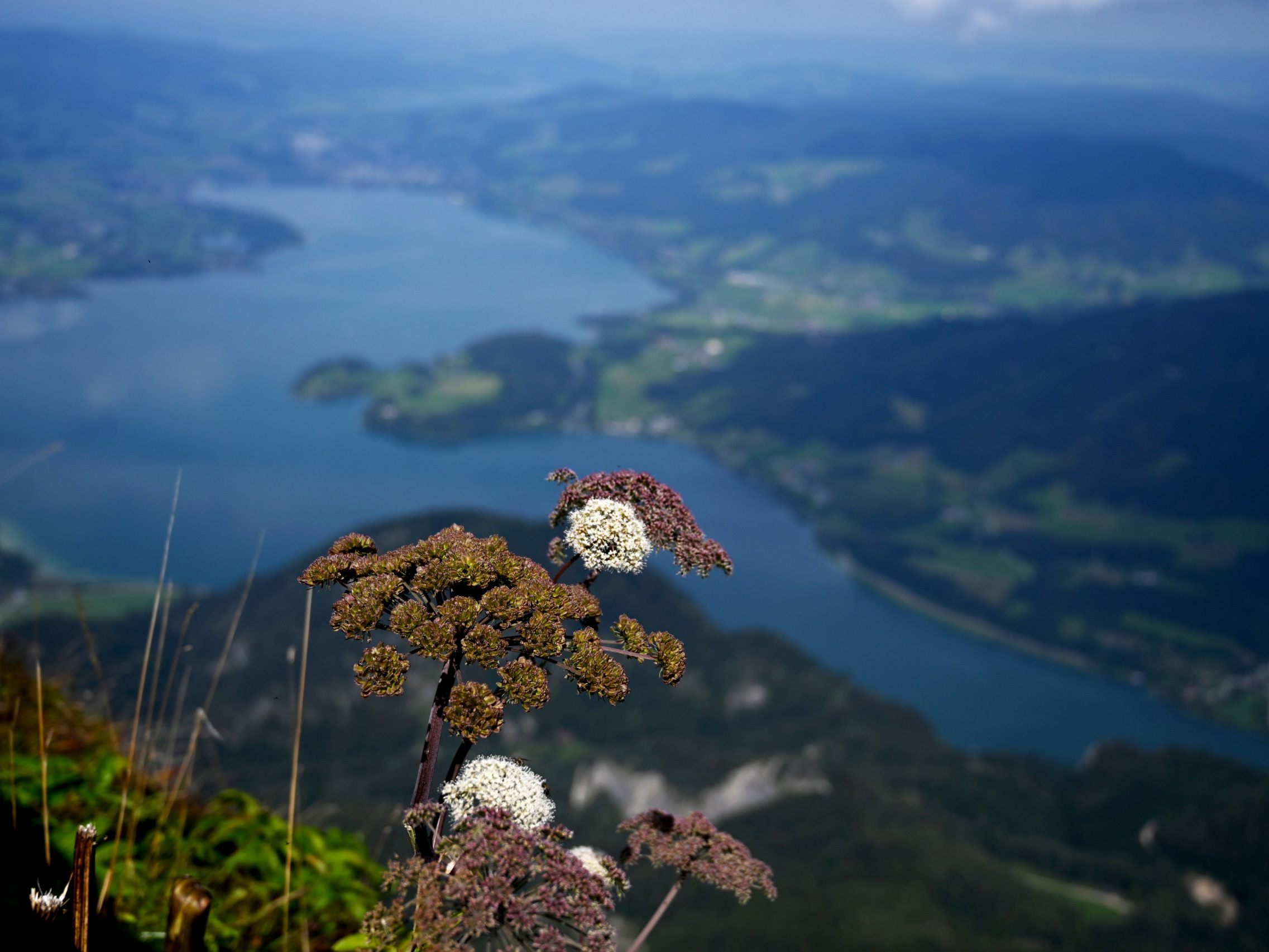Am Mondsee sollen bestehende Pachtverträge für Seezugänge und Bojen neu geregelt werden.