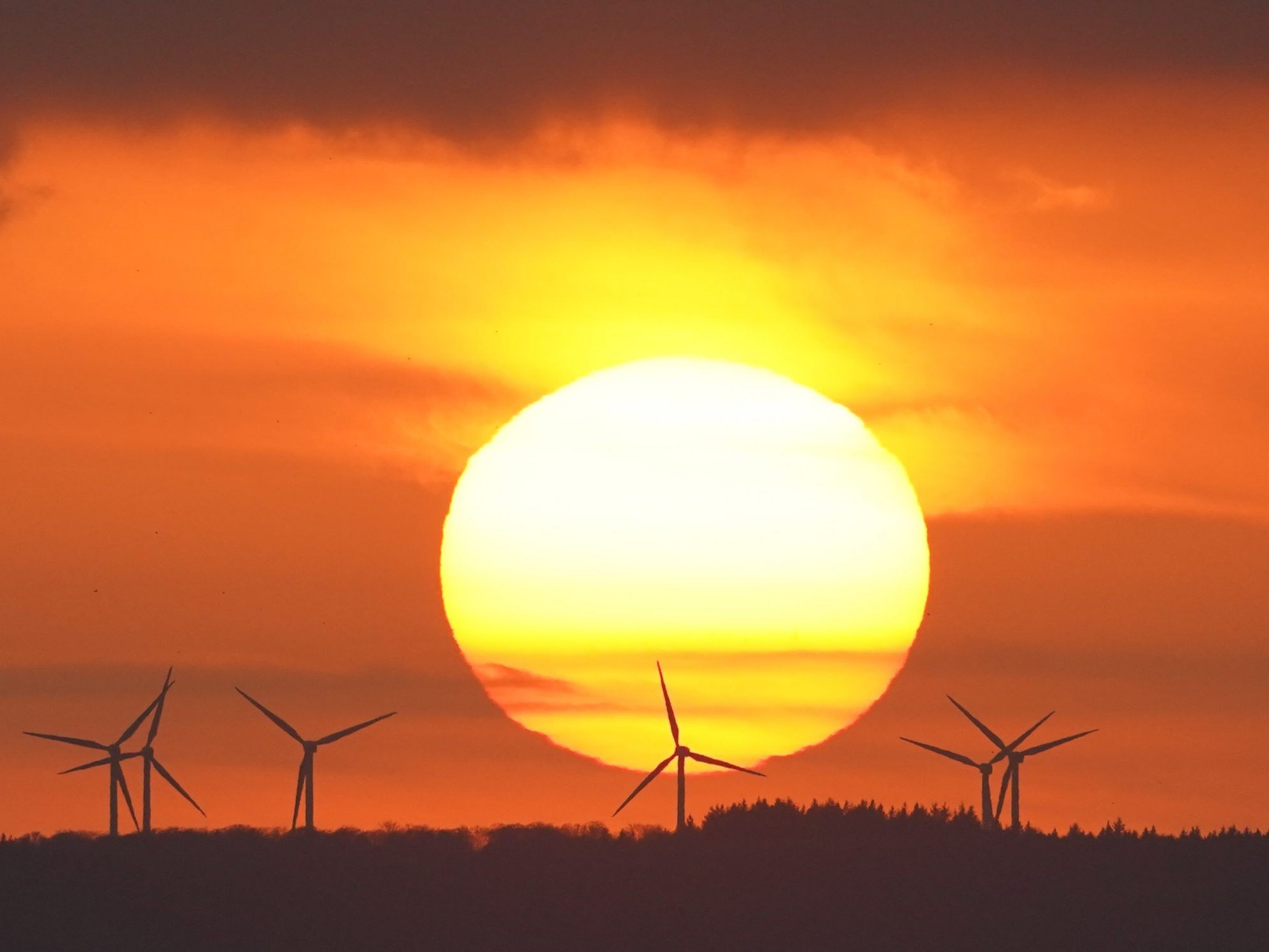 Klimaschutz hat nicht den notwendigen Stellenwert, so die Bundesjugendvertretung.