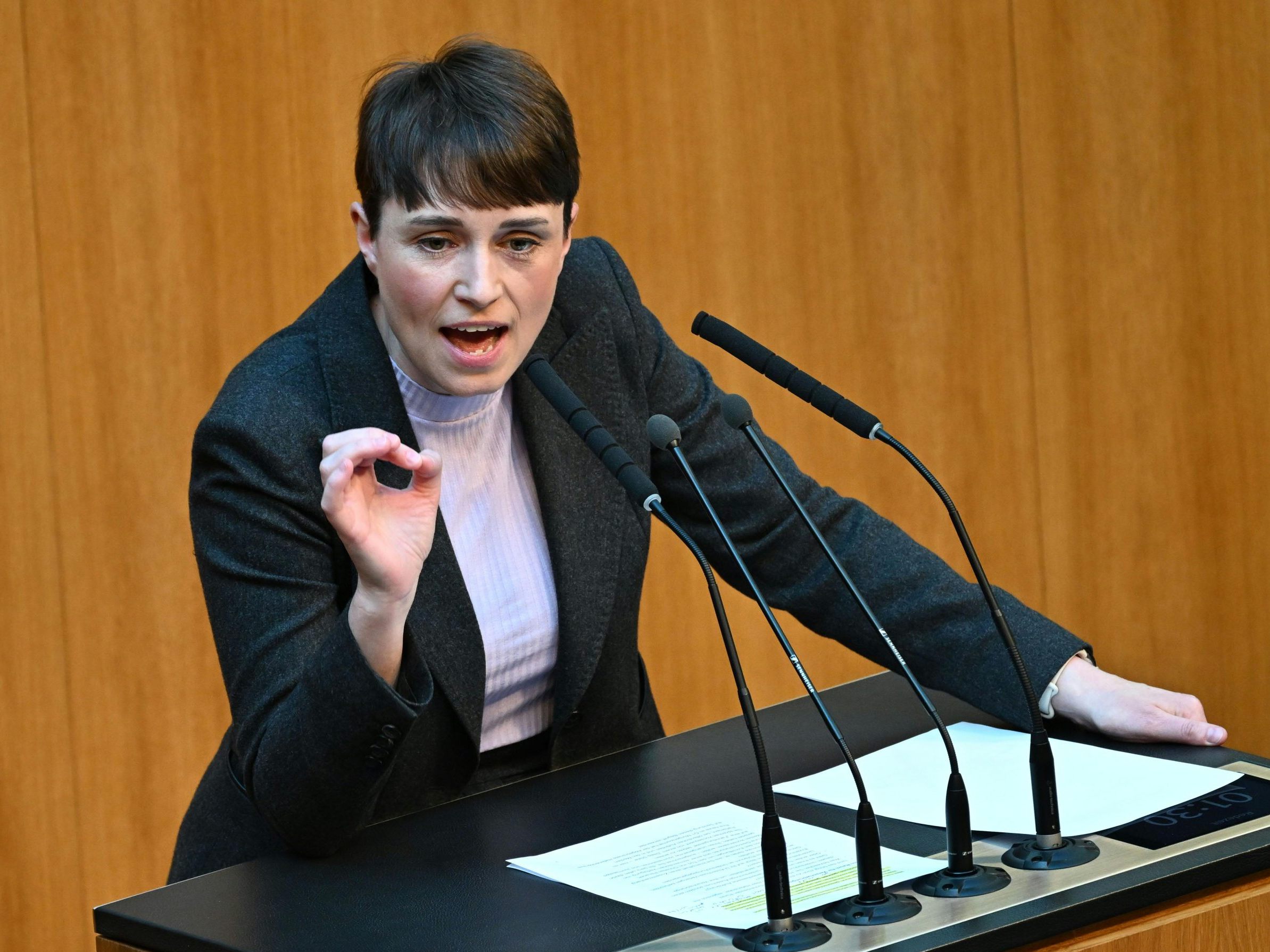 Die Grünen orten bei der Deutschförderung eine "Mogelpackung". Die Grünen orten bei der Deutschförderung eine "Mogelpackung".