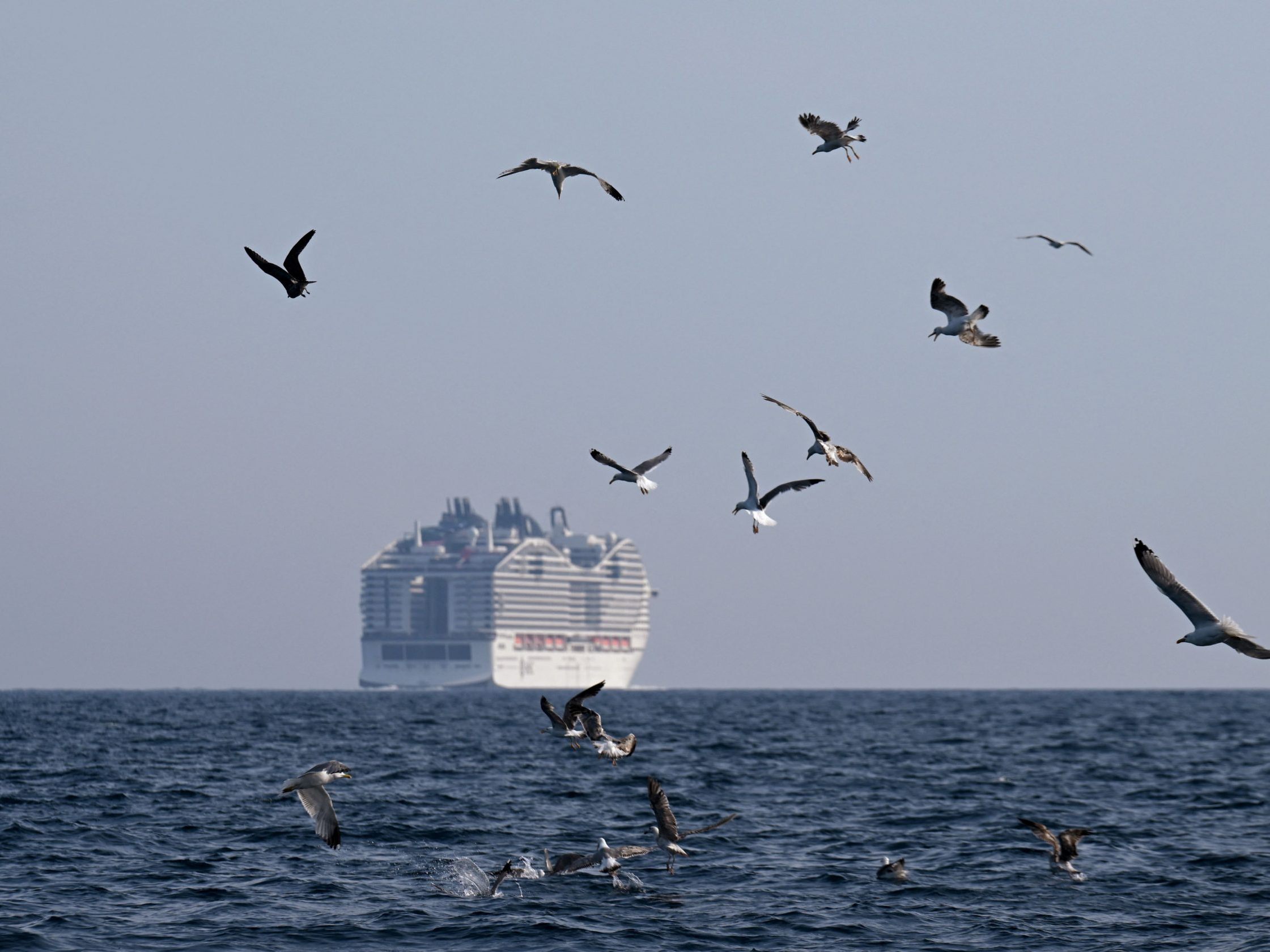 Das unter maltesischer Flagge fahrende Schiff der Reederei MSC Cruises war von Genua nach Neapel unterwegs.